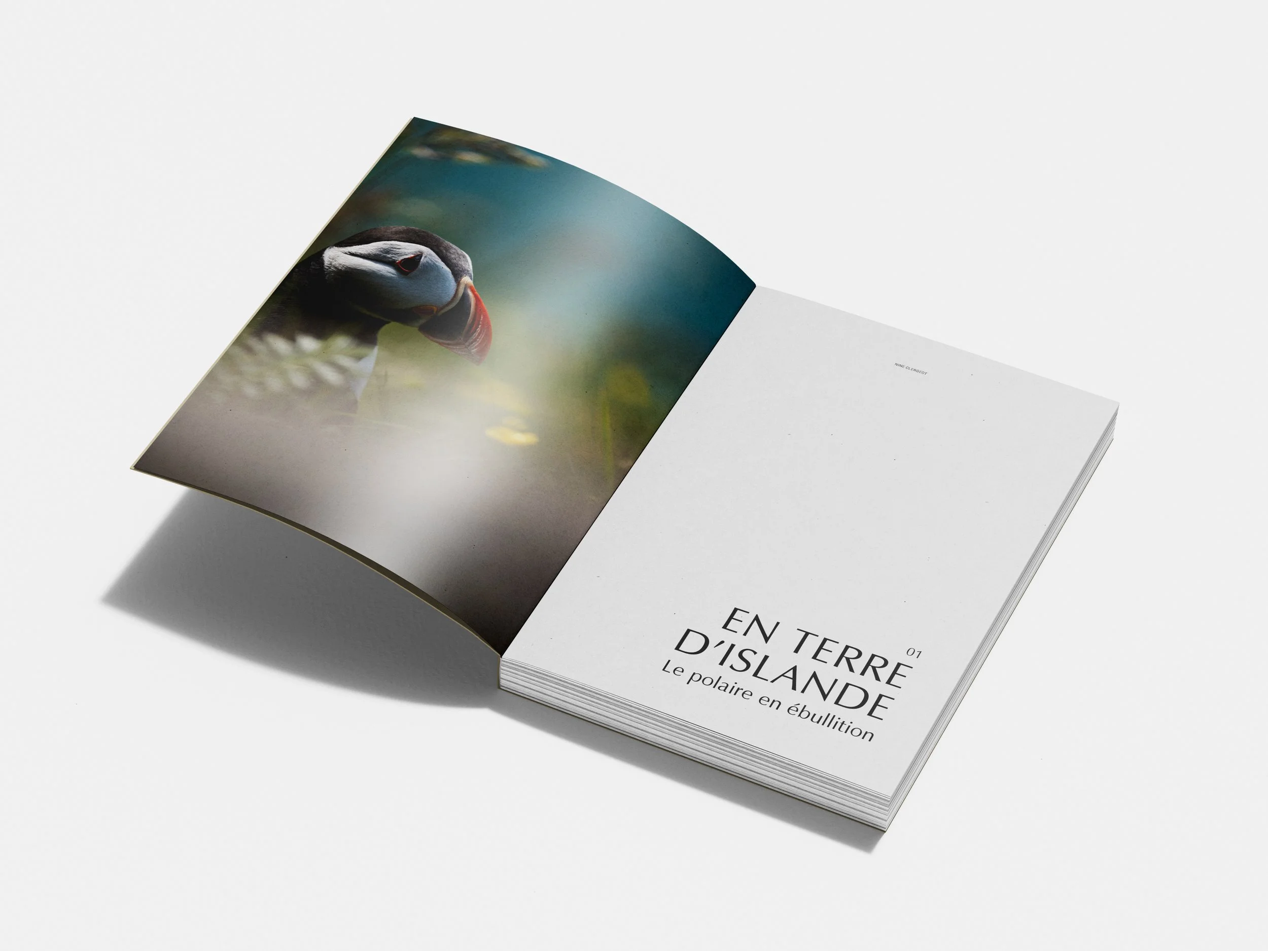 Book-interieur-1.jpg