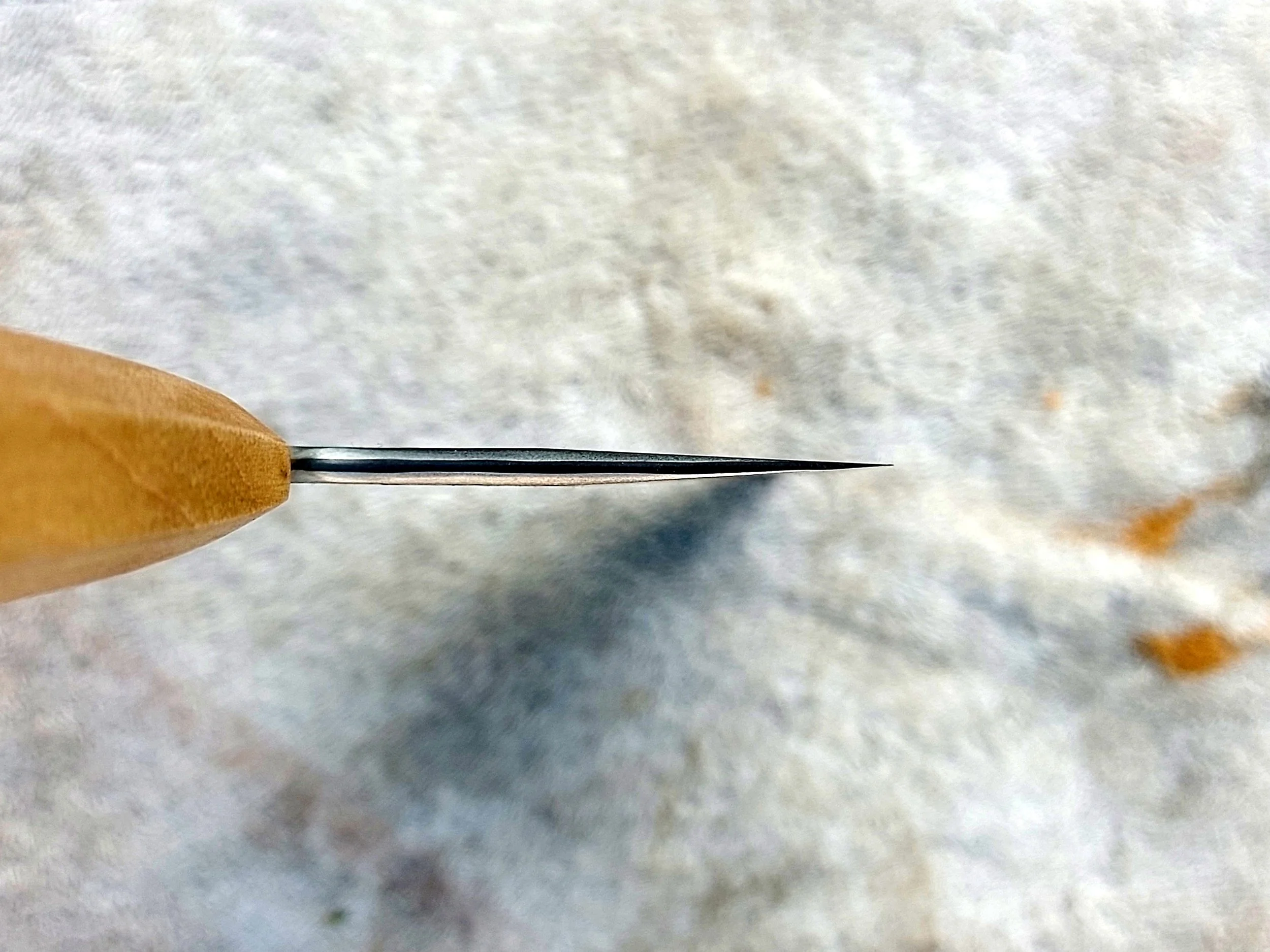 20260714_072452.jpg
