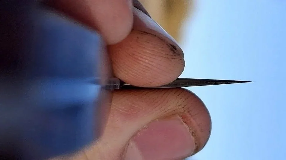 571429458_1387579706649697_1063259284337926344_n.jpg