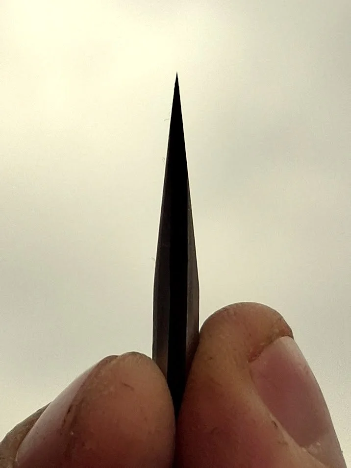 667850820_1528873335853666_4207157716453802889_n.jpg