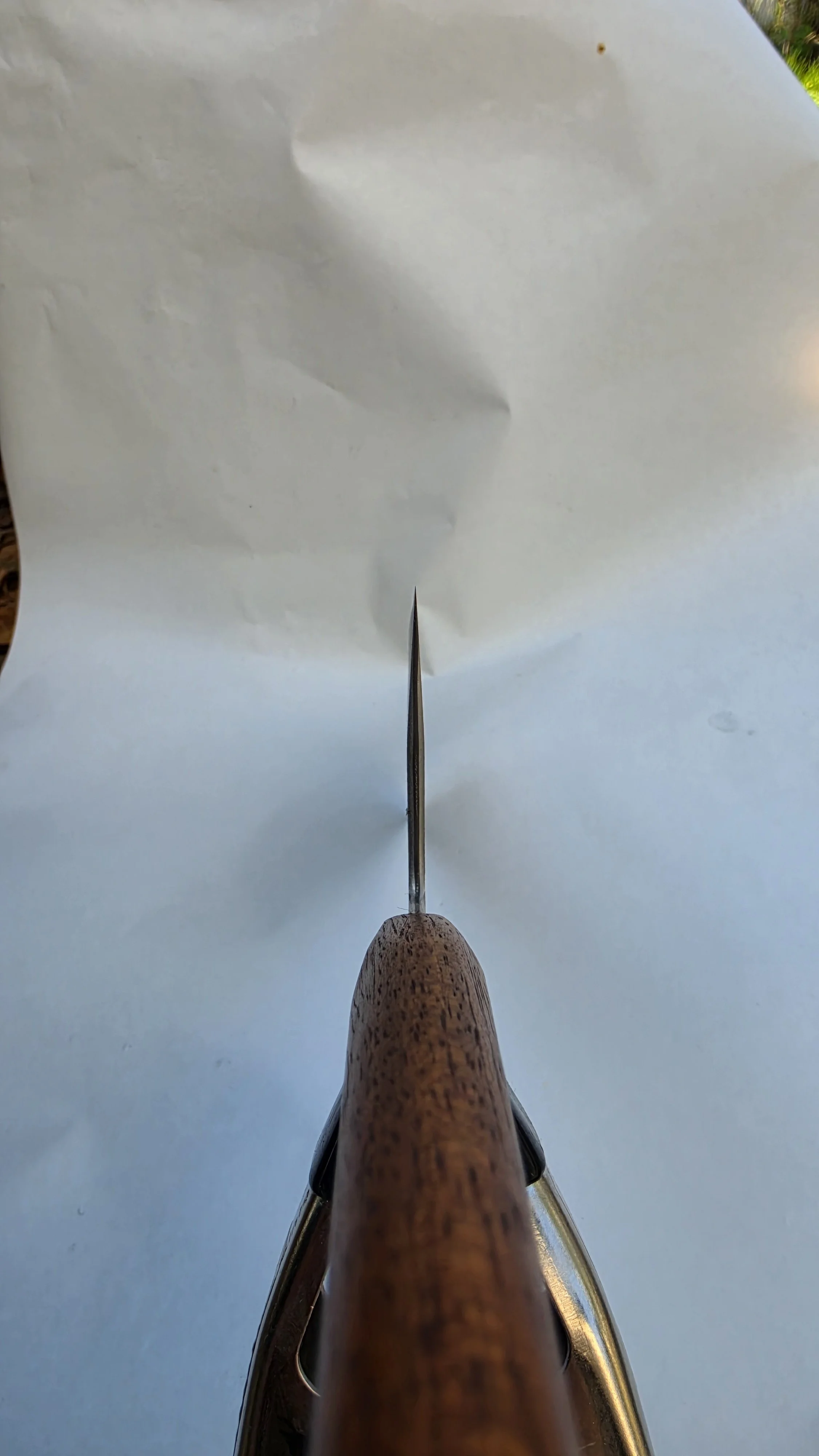 20260930_095454.jpg