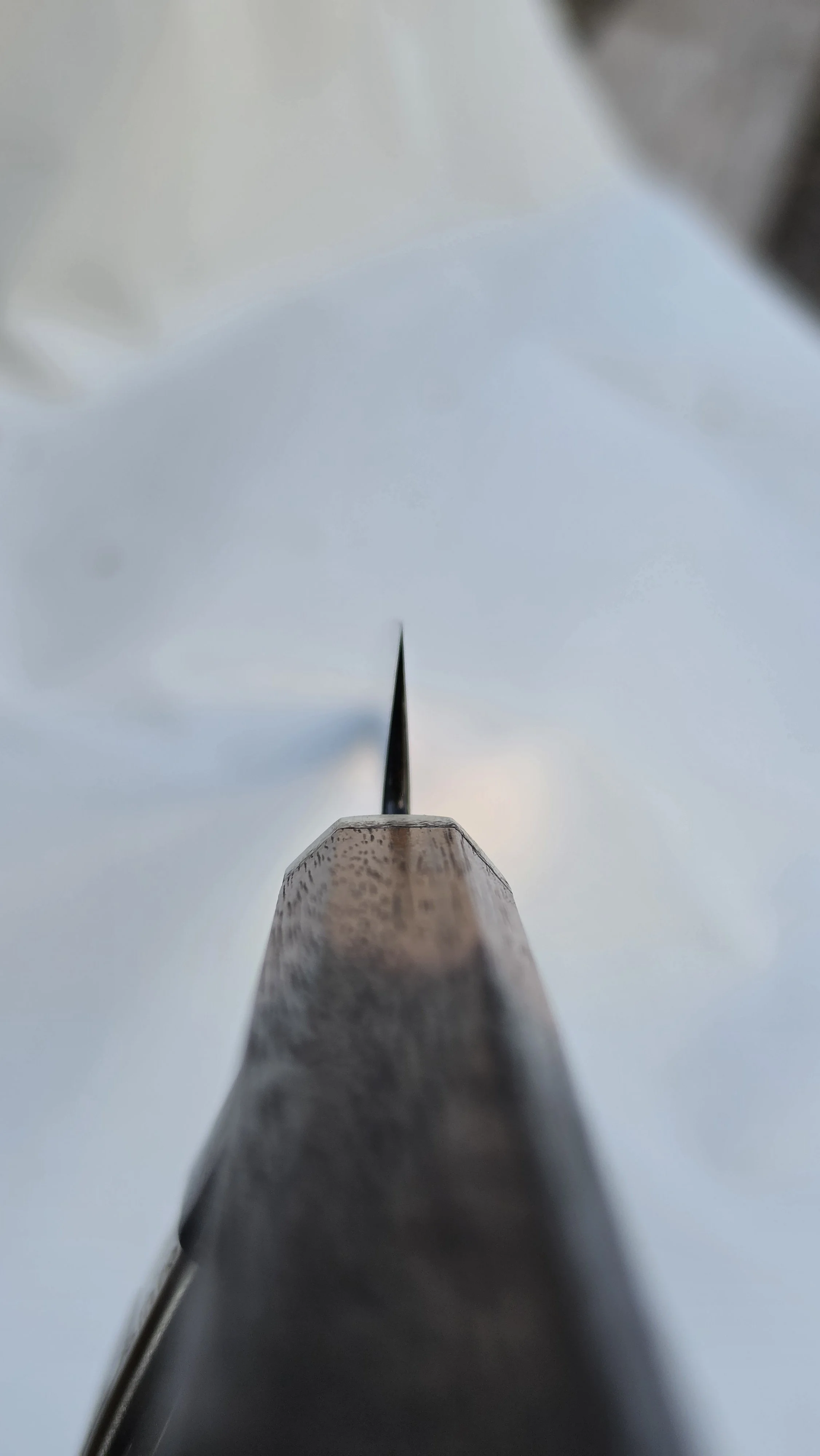 20260930_101824.jpg