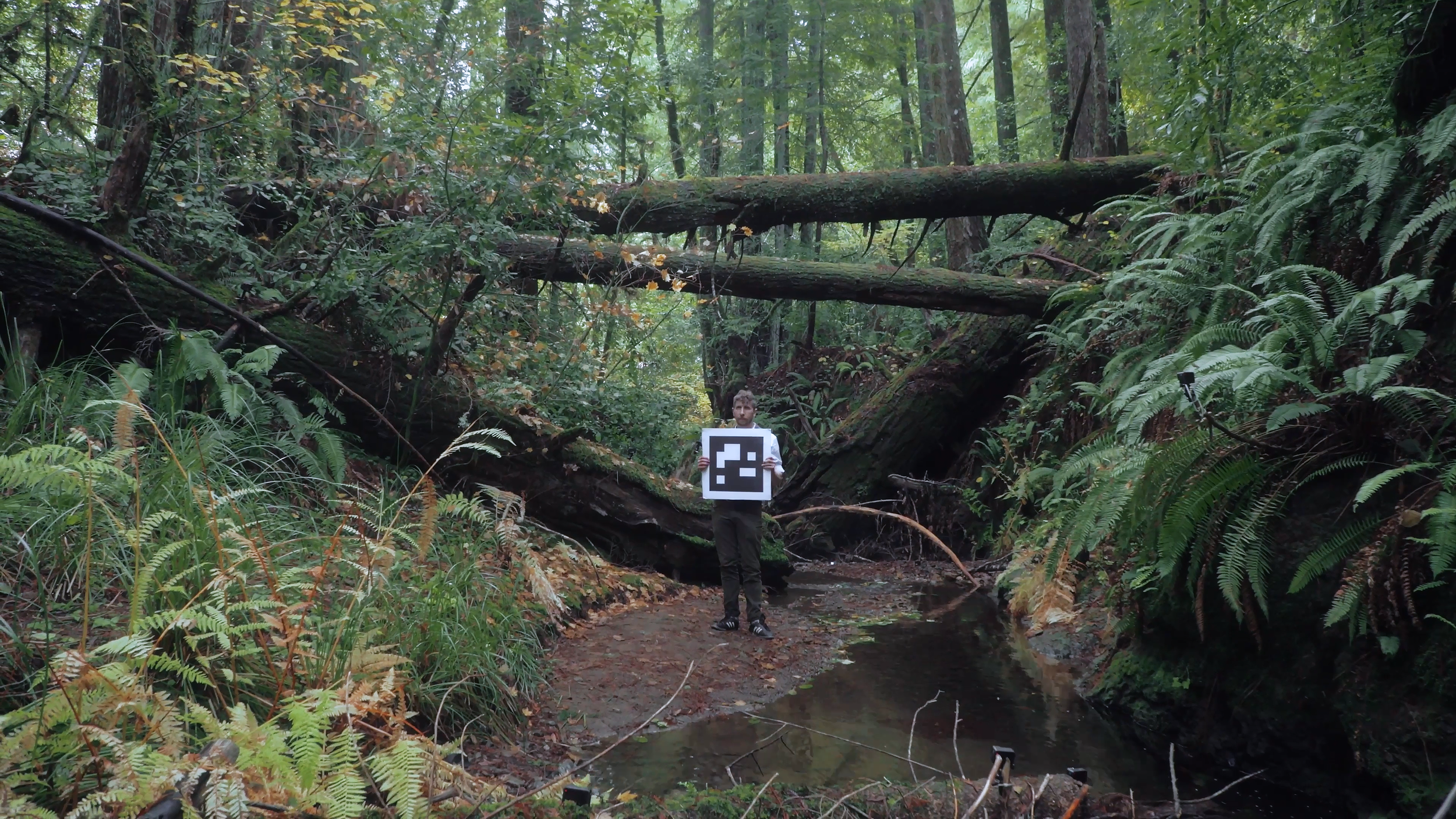 HUMBOLDT USA World Premiering at Visions du Réel