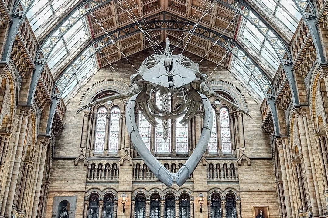 The Wildlife Photographer of the Year, @nhm_wpy at the @nationalhistorymuseum in London is a must-visit!

My husband and I saw the exhibition today and were blown away by the incredible photography. Swipe through for just a few of my favourite images