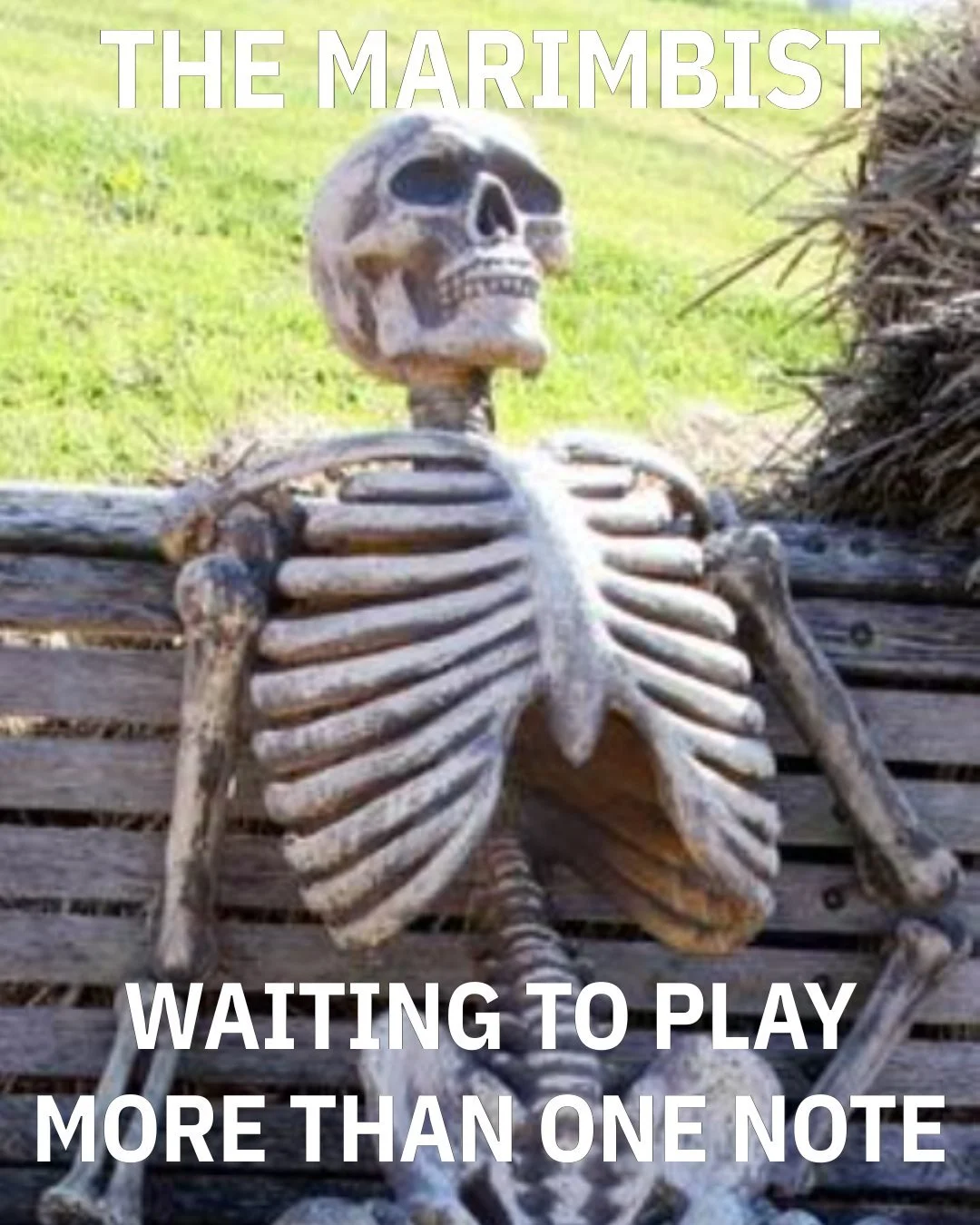 The Schnittke Requiem is scored for organ, choir, soloists, brass, piano, celesta, electric guitar and bass, and percussion ensemble... including a marimba with the sole purpose of playing one single note in the entirety of all 14 movements: an E.

S