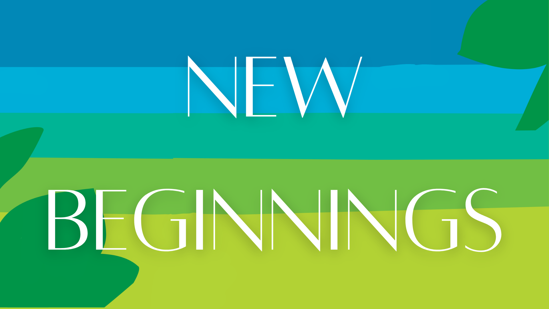 New Beginnings