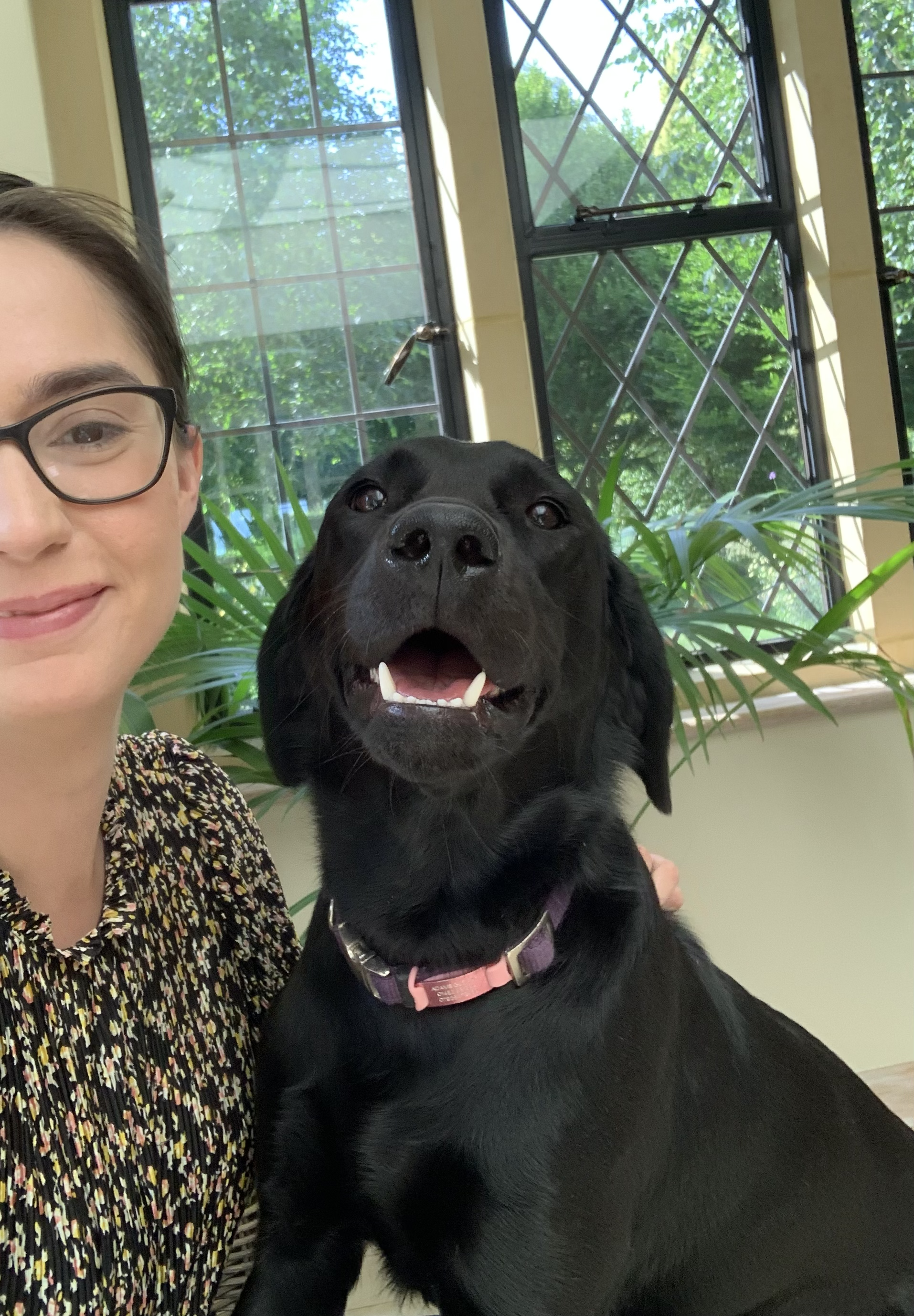 Person smiling with a black Labrador dog indoors, near a window with plants.