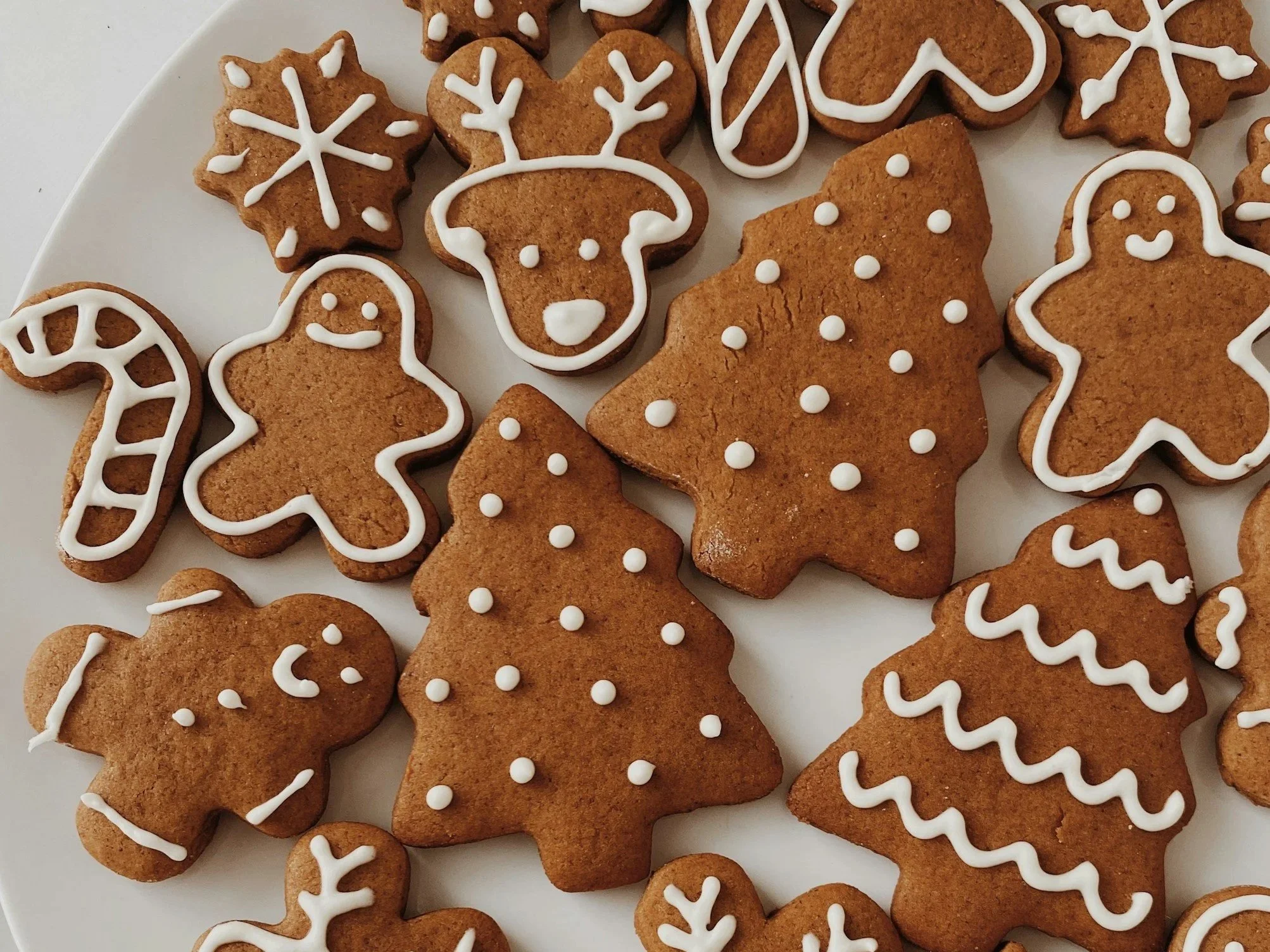 Gingerbread cookies in holiday shapes with white icing accents