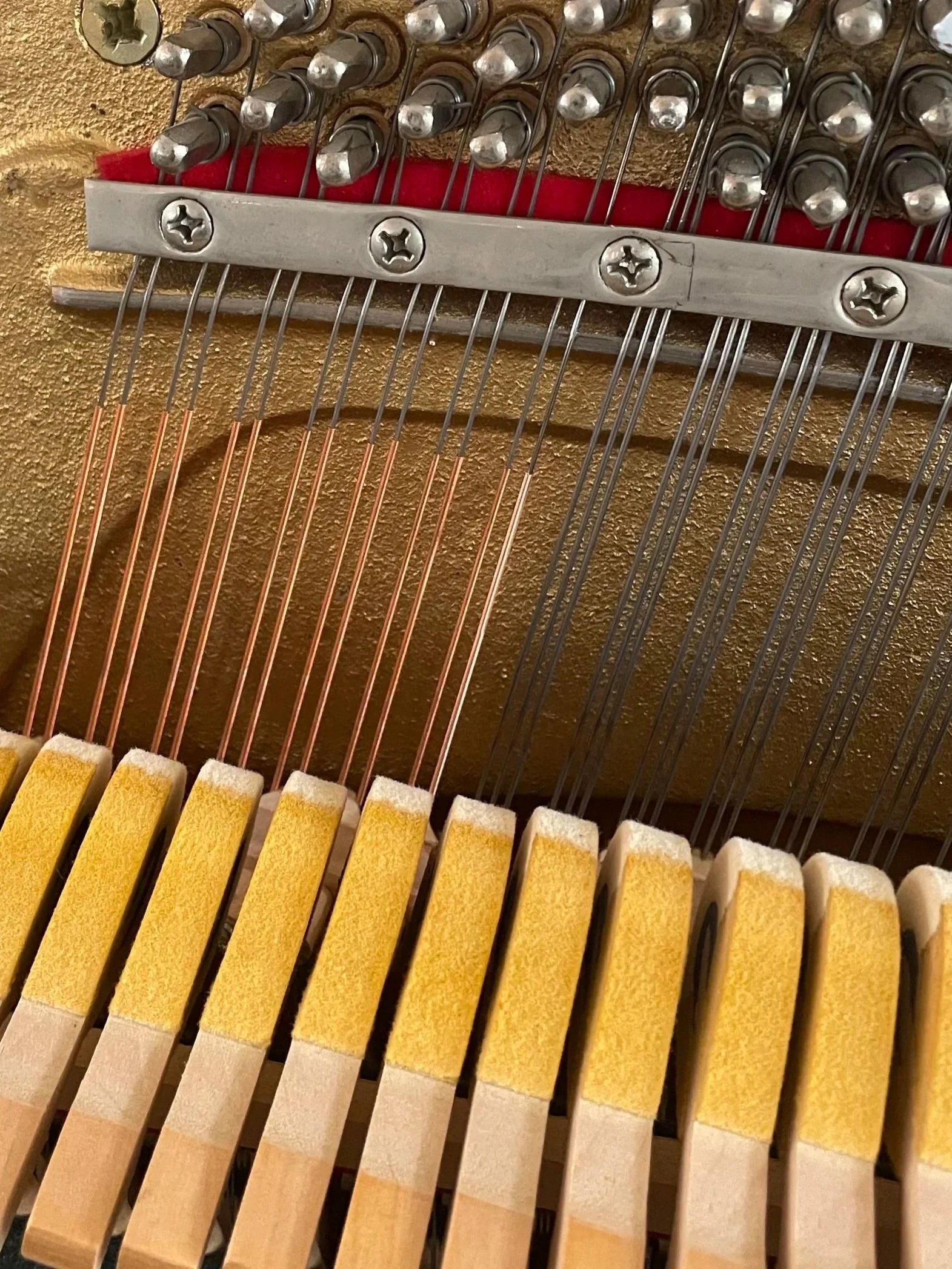 Interior view of a piano's hammers and strings along with a new bass string with a new shiny copper color after being installed.
