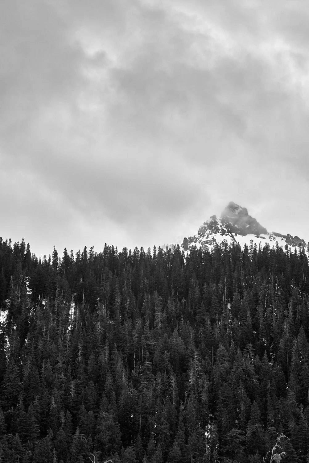 Black and white photo of a mountain peak with snow, surrounded by dense pine forest, under a cloudy sky.