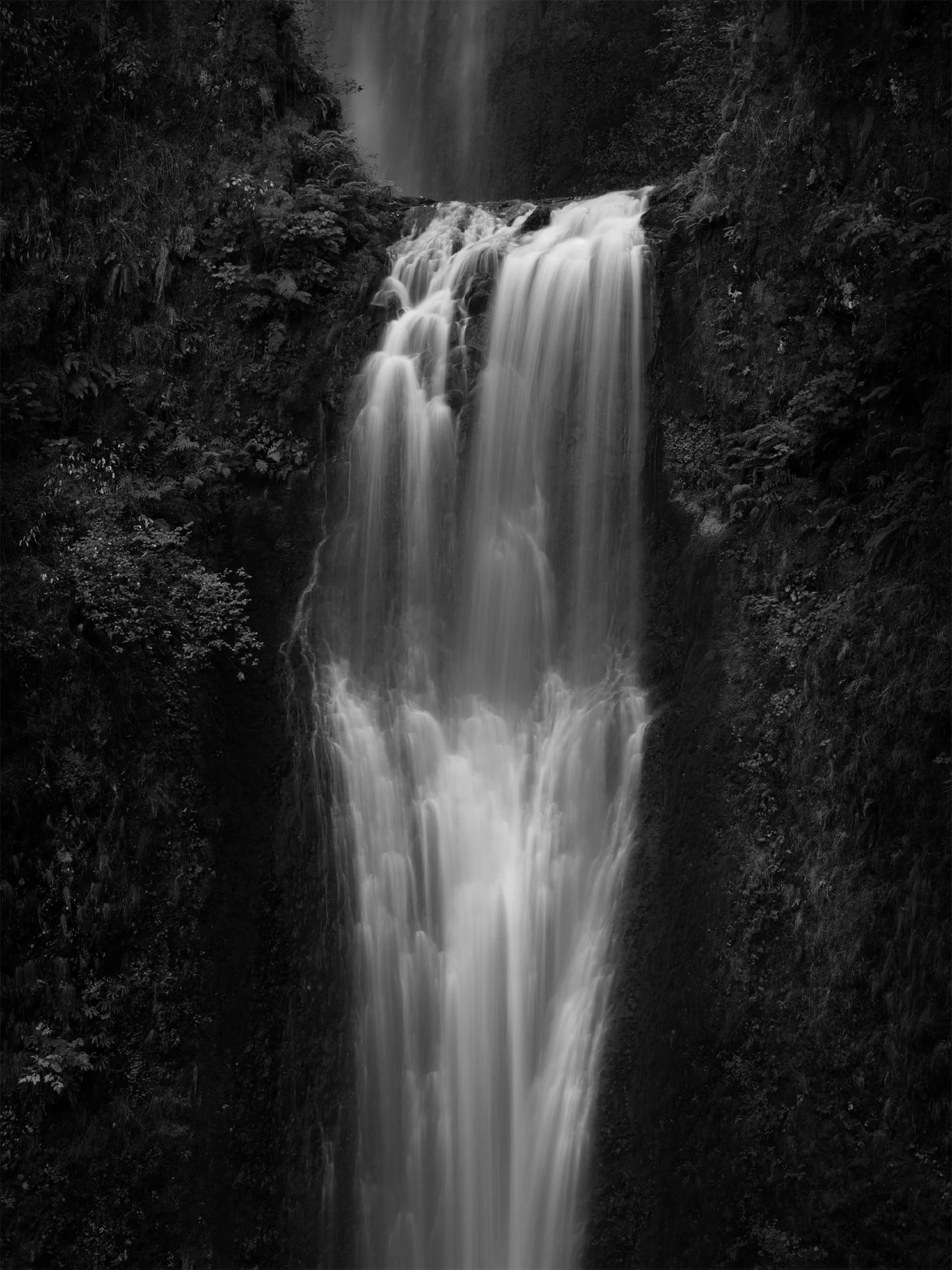 Black and white photograph of a tall, cascading waterfall flowing through a lush, dense forest with foliage on both sides.