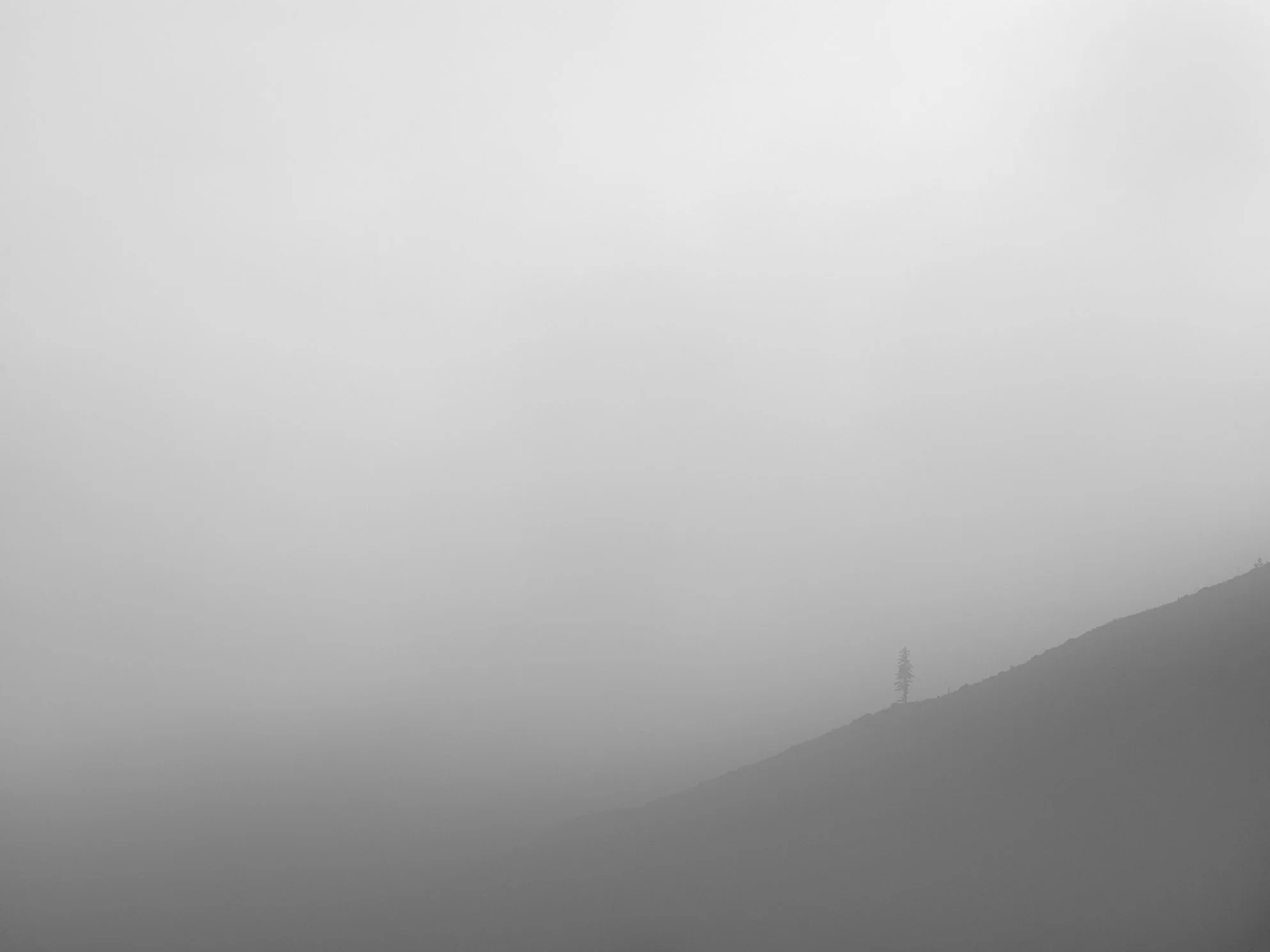 A foggy mountain landscape with trees on the hillside.