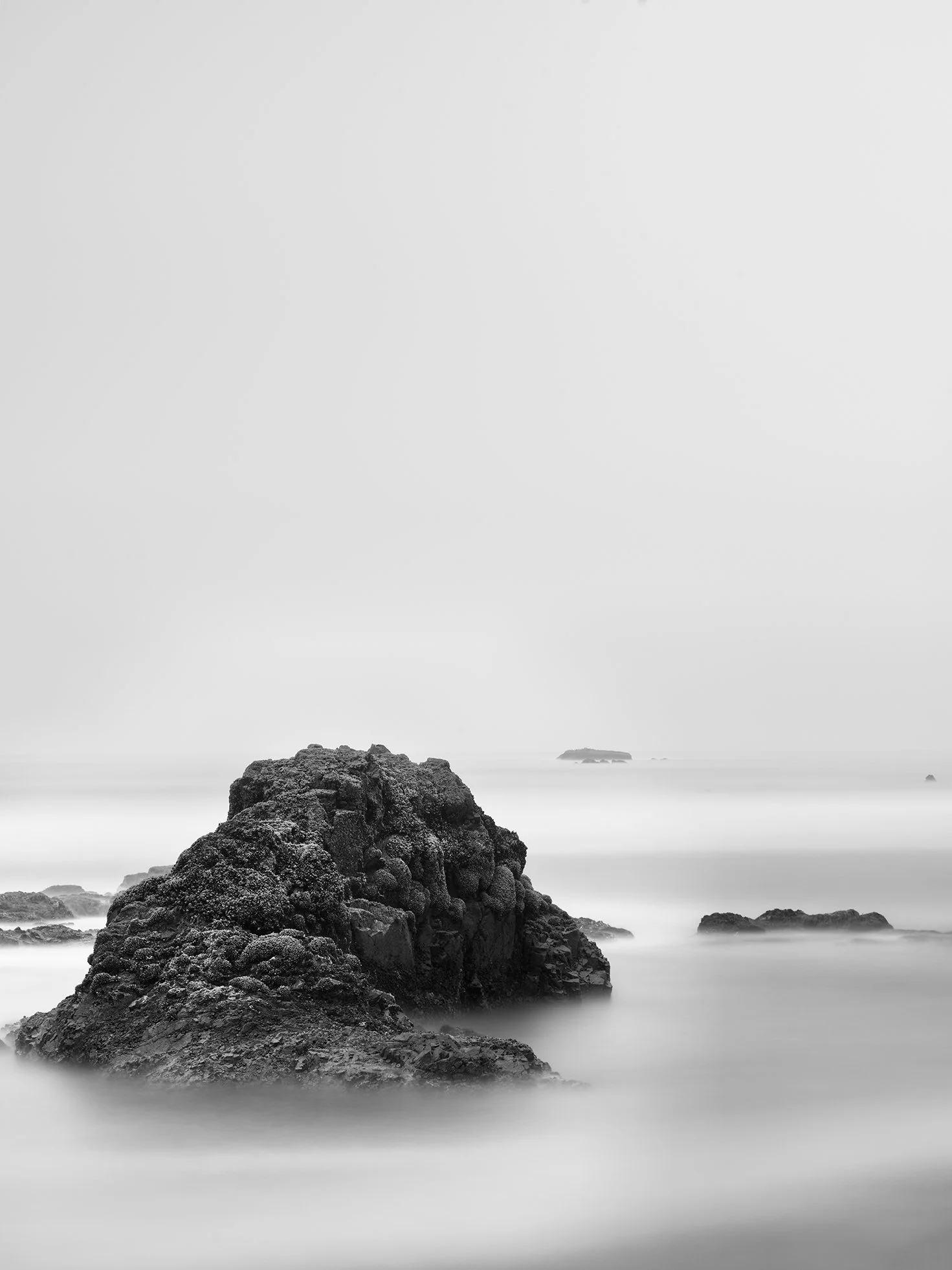 Black and white photo of moss-covered rocks along a calm ocean, with distant rocks barely visible in the background under a cloudy sky.