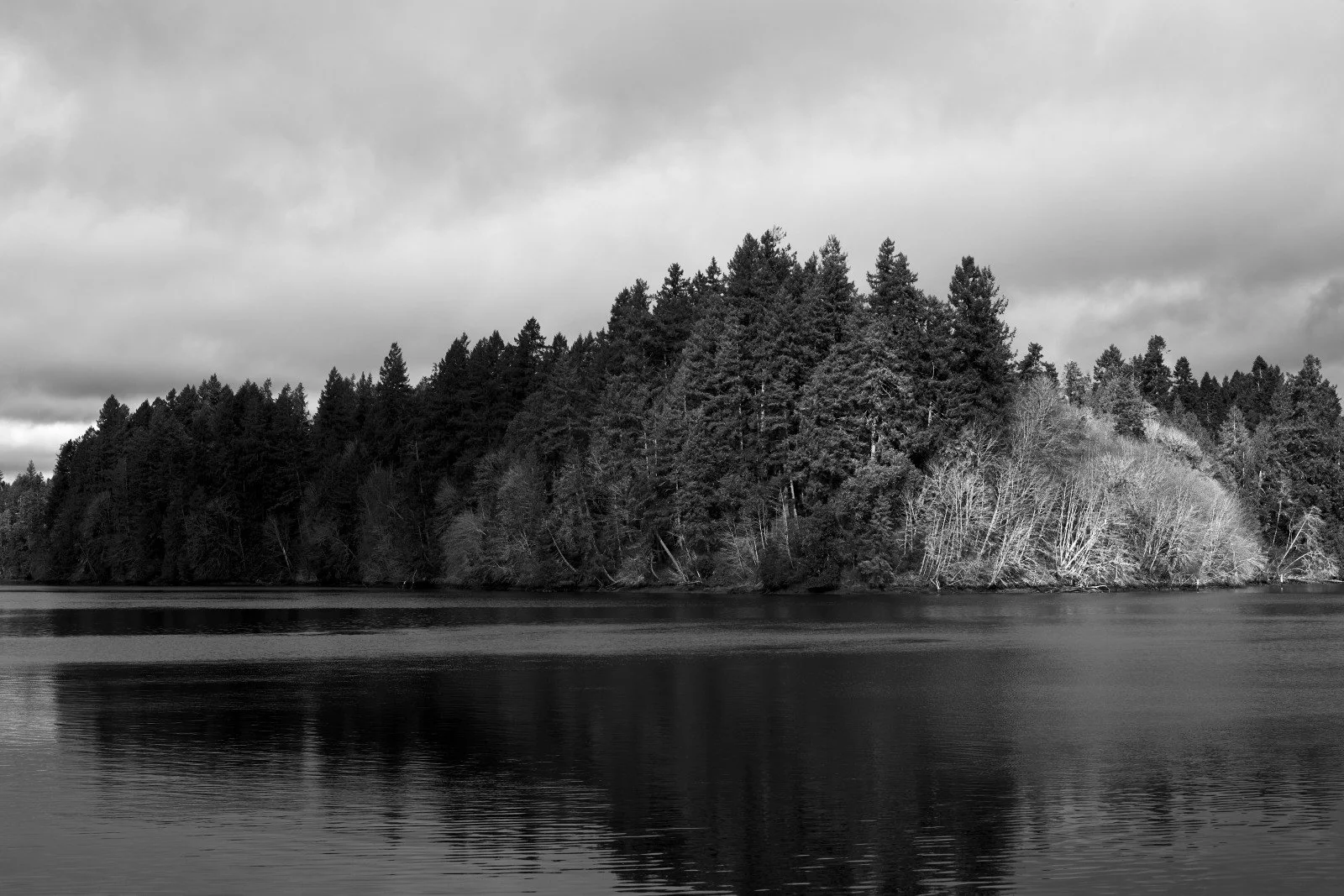 Black and white photo of a tree-covered island surrounded by calm water, under a cloudy sky.
