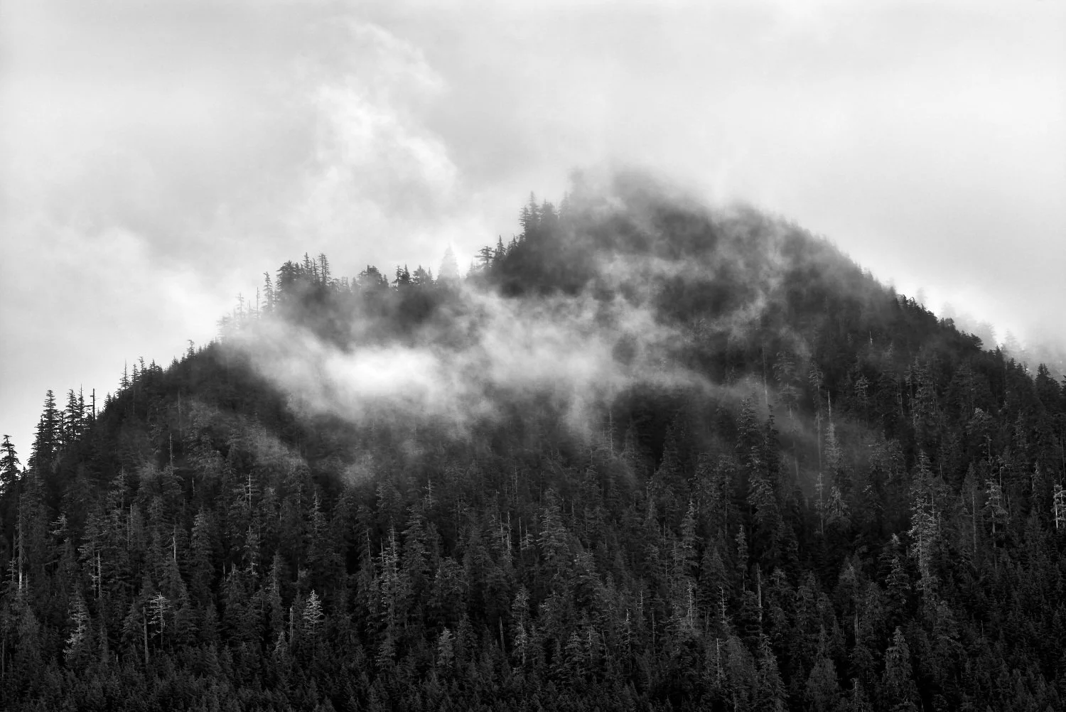 Black and white photo of a mountain covered in dense forest with low-hanging clouds or fog around the peak.