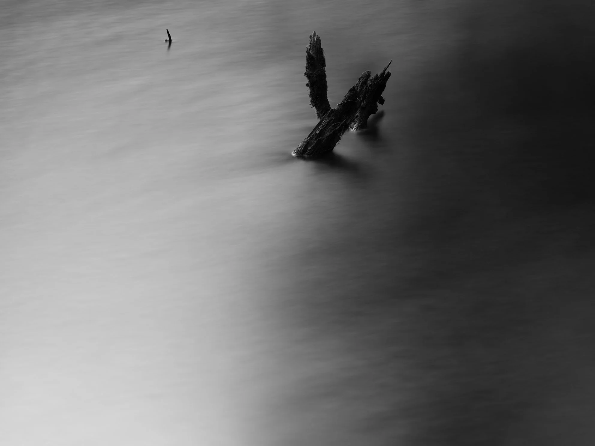 Black and white photo of a submerged, decayed wooden log or tree branch sticking out of calm water.