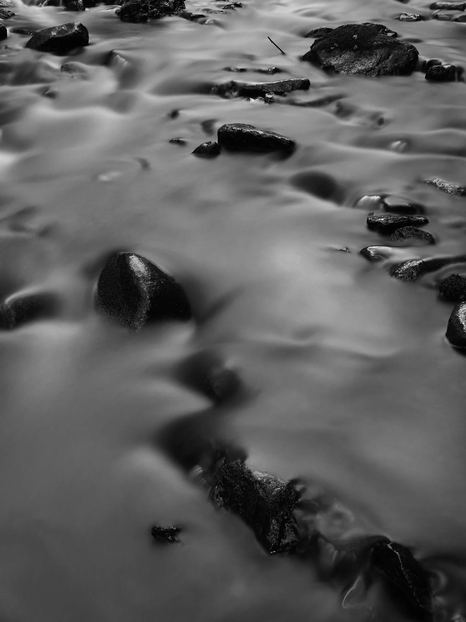 Black and white photograph of a flowing stream with rocks and stones partially submerged in the water.