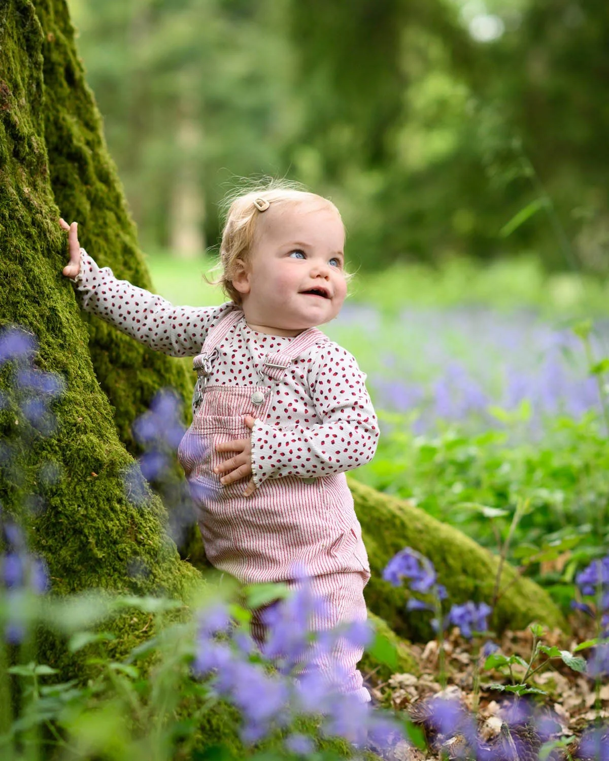 A young toddler with blonde curly hair, wearing a white shirt with red polka dots and pink striped overalls, touching a moss-covered tree in a lush green forest with purple flowers on the ground.