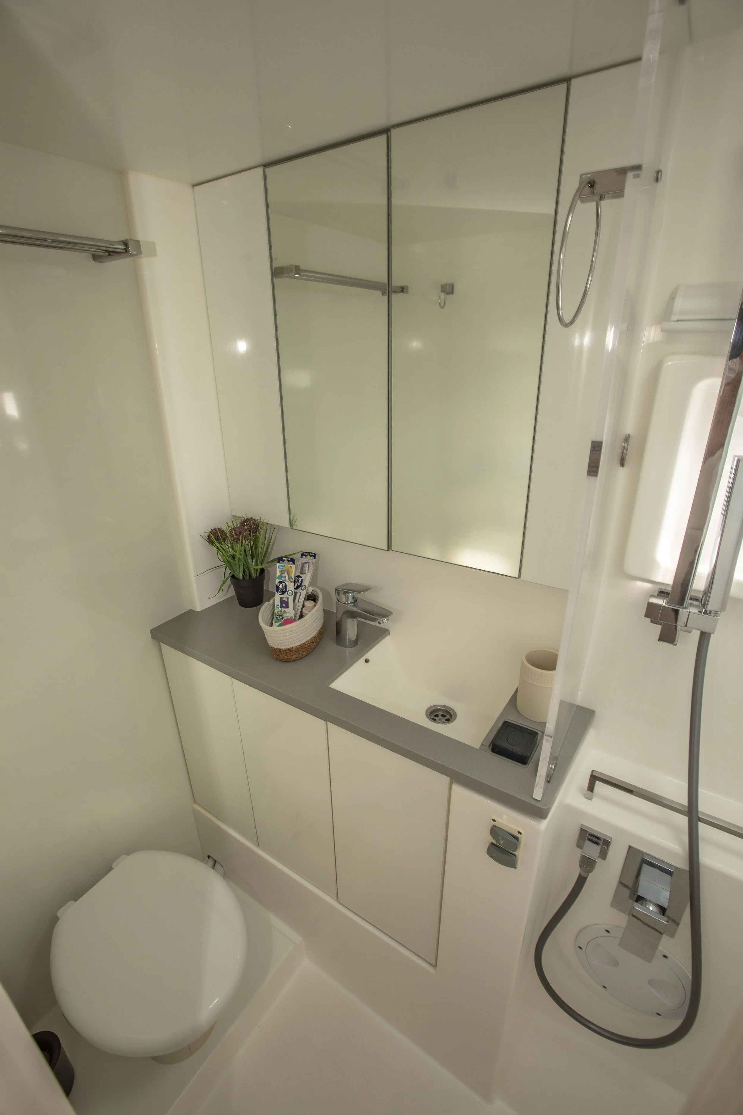 Small bathroom with a mirrored cabinet, a small sink with a faucet, a countertop with a potted plant and a basket of toiletries, a toilet, and a shower area with a handheld showerhead.