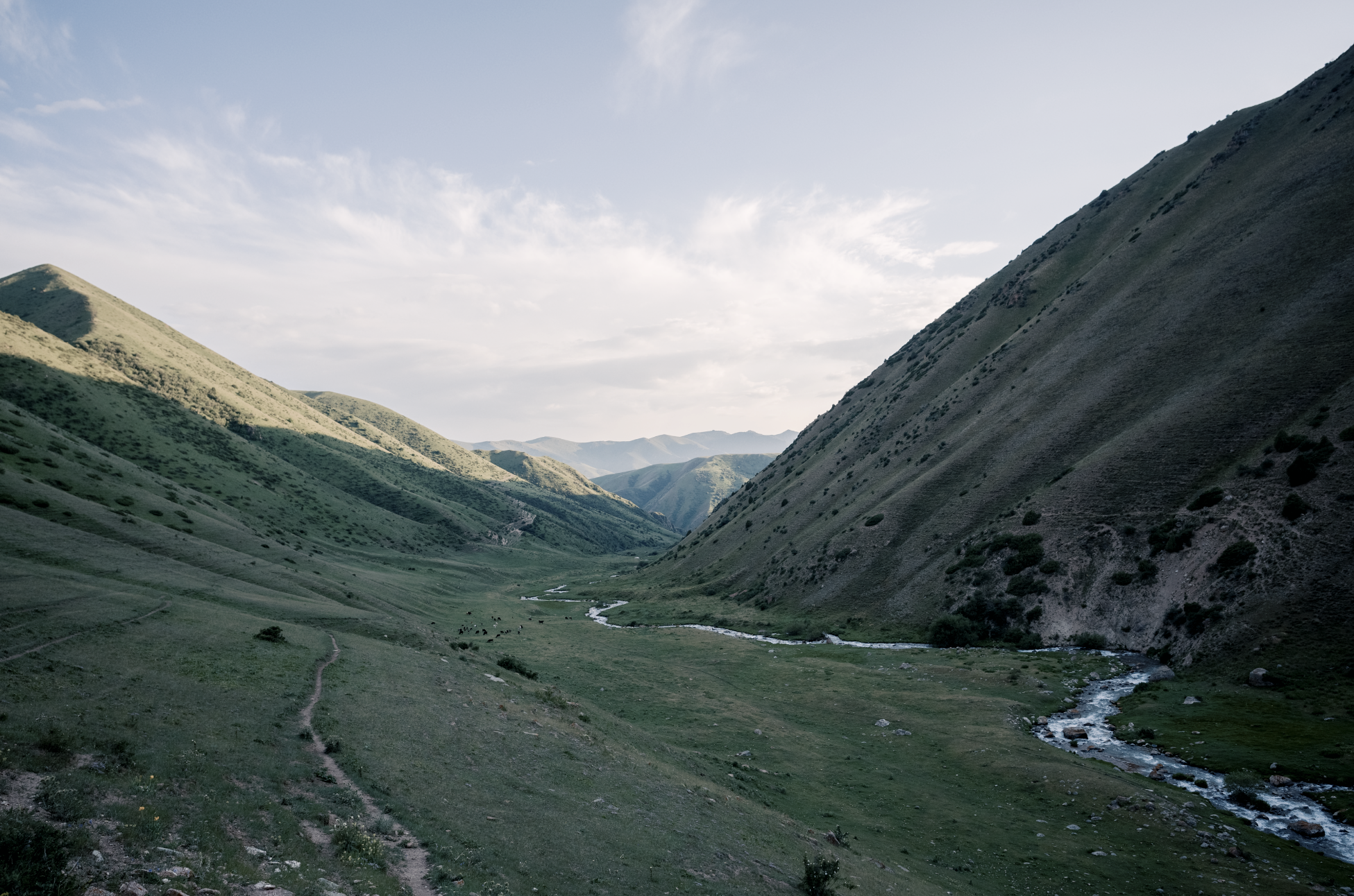 Screenshot 2025-07-29 at 13.08.21.png