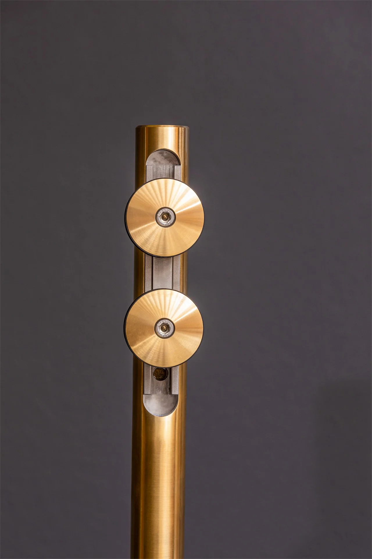 Close-up of a metallic, gold-colored medical device with two circular, flat, gold discs attached vertically on a support, against a dark background.