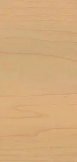 Plain light wood surface