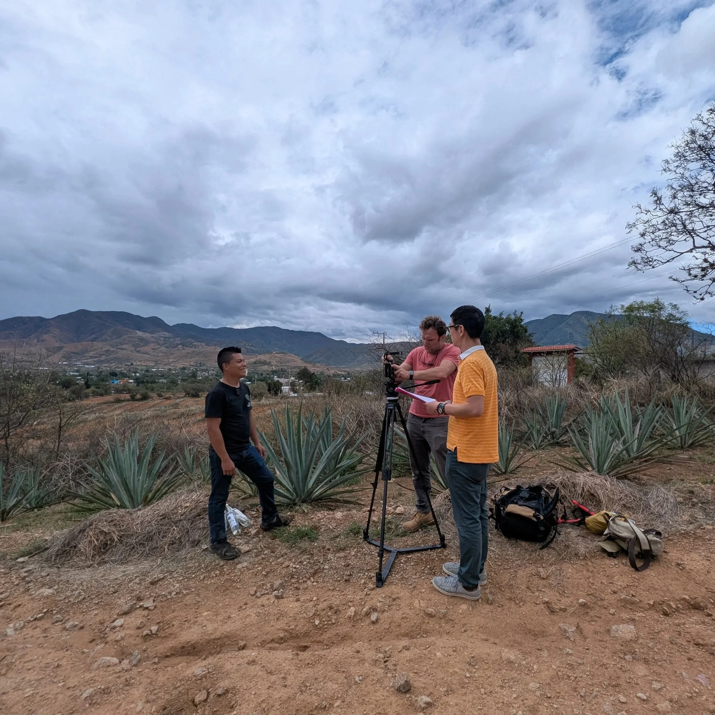 MAR 2025—We begin production of a prototype experience, Oaxaca: Tierra y Tiempo.
