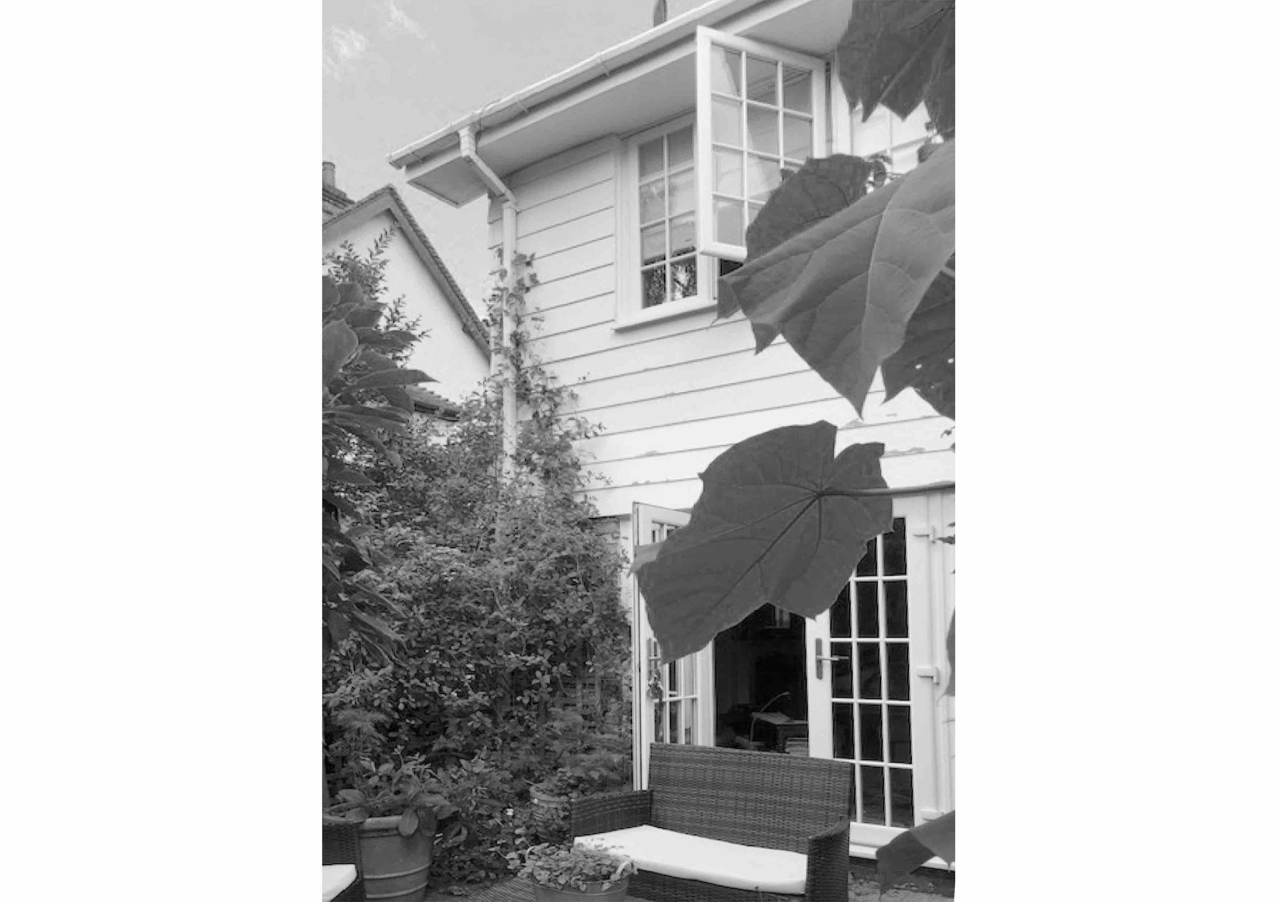 Black and white photo of a two-story house exterior with large windows, climbing plants, a wicker outdoor bench, and large leaves in the foreground.