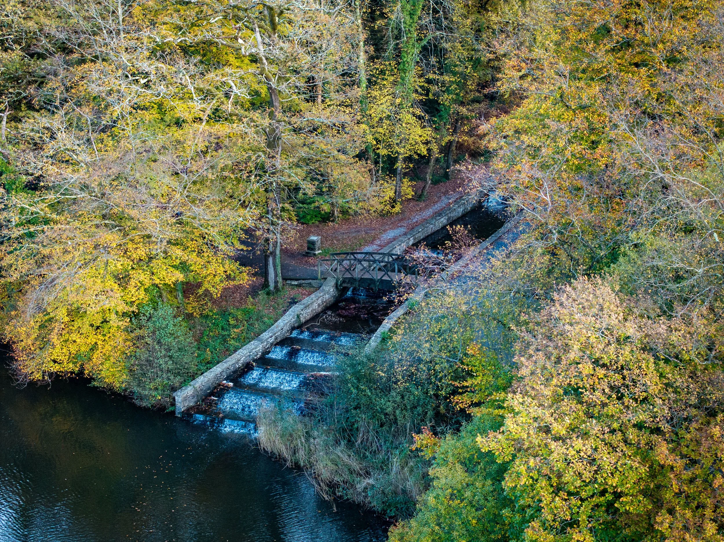 Gnoll Park - Completion - October 2025 (10 of 20).jpg