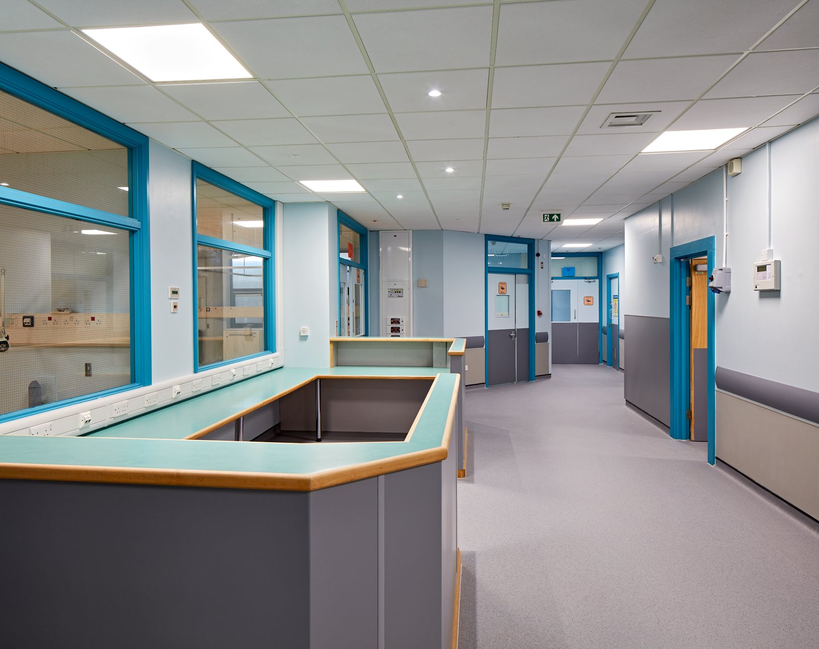 Hospital corridor with light blue walls, multiple blue-framed windows, doors, ceiling lights, grey carpeted floor, and a curved reception desk.