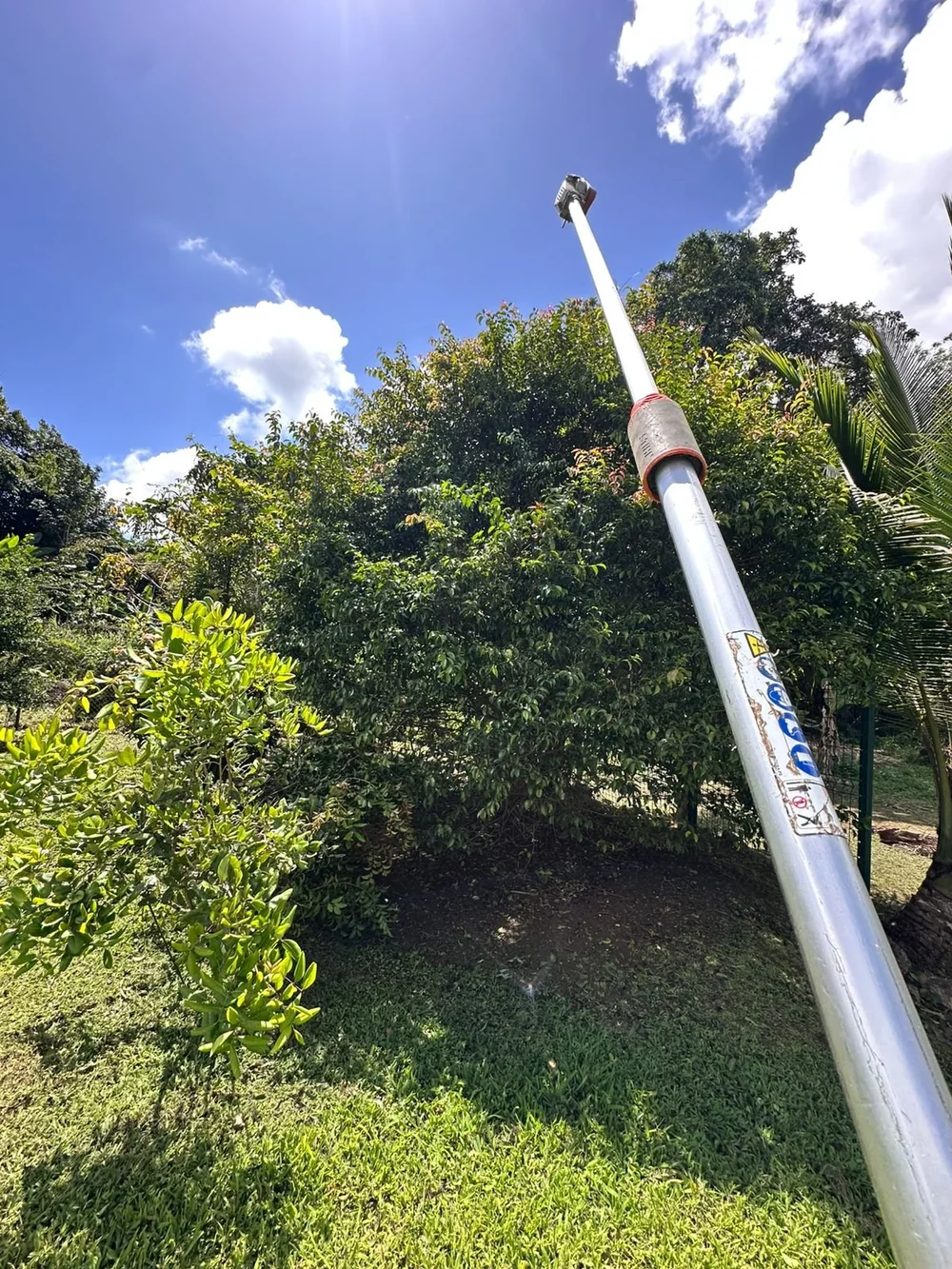 Taille de branches accessibles depuis le sol