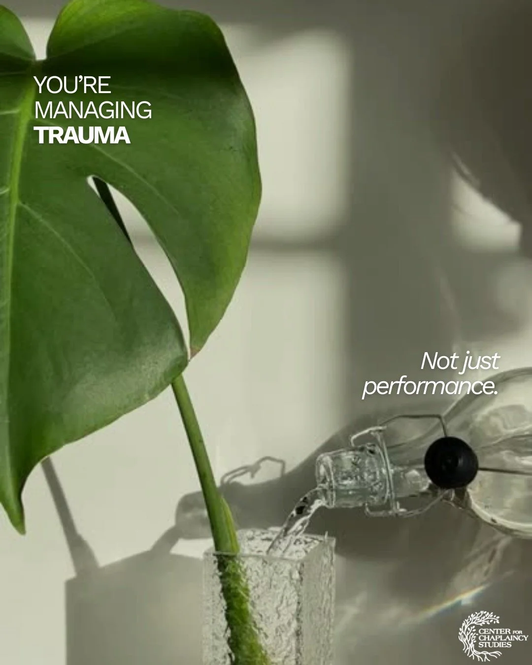 You are managing trauma, not just performance.

When life feels overwhelming, it is not always about productivity, motivation, or doing more. Often, it is about carrying experiences your body and mind are still processing.

Trauma can show up as exha