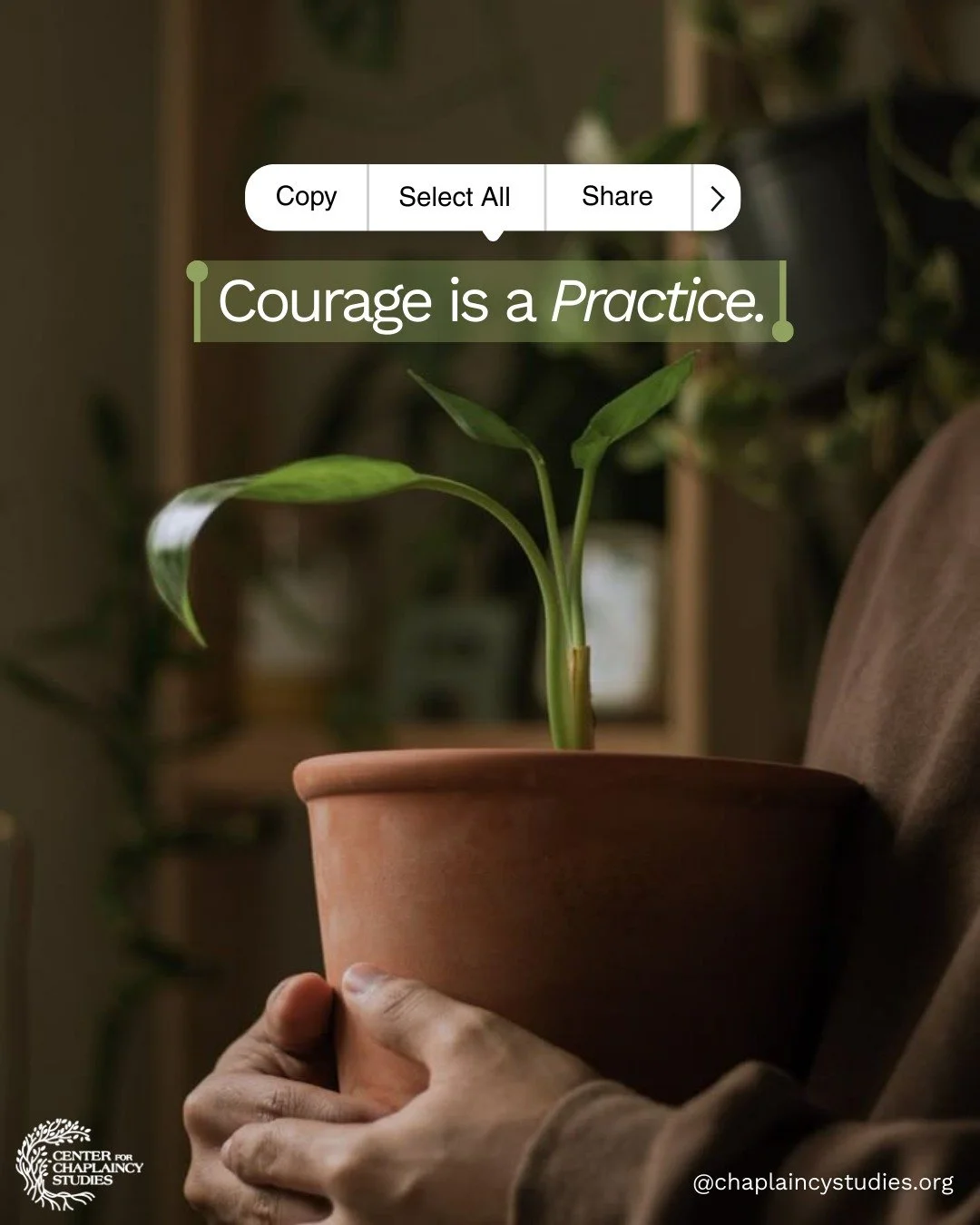 Courage isn&rsquo;t always loud.

Sometimes it&rsquo;s the quiet decision to show up, speak honestly, or care deeply when things are difficult.

Like any practice, courage grows over time.

Learn more at chaplaincystudies.org.

#chaplaincy #spiritual