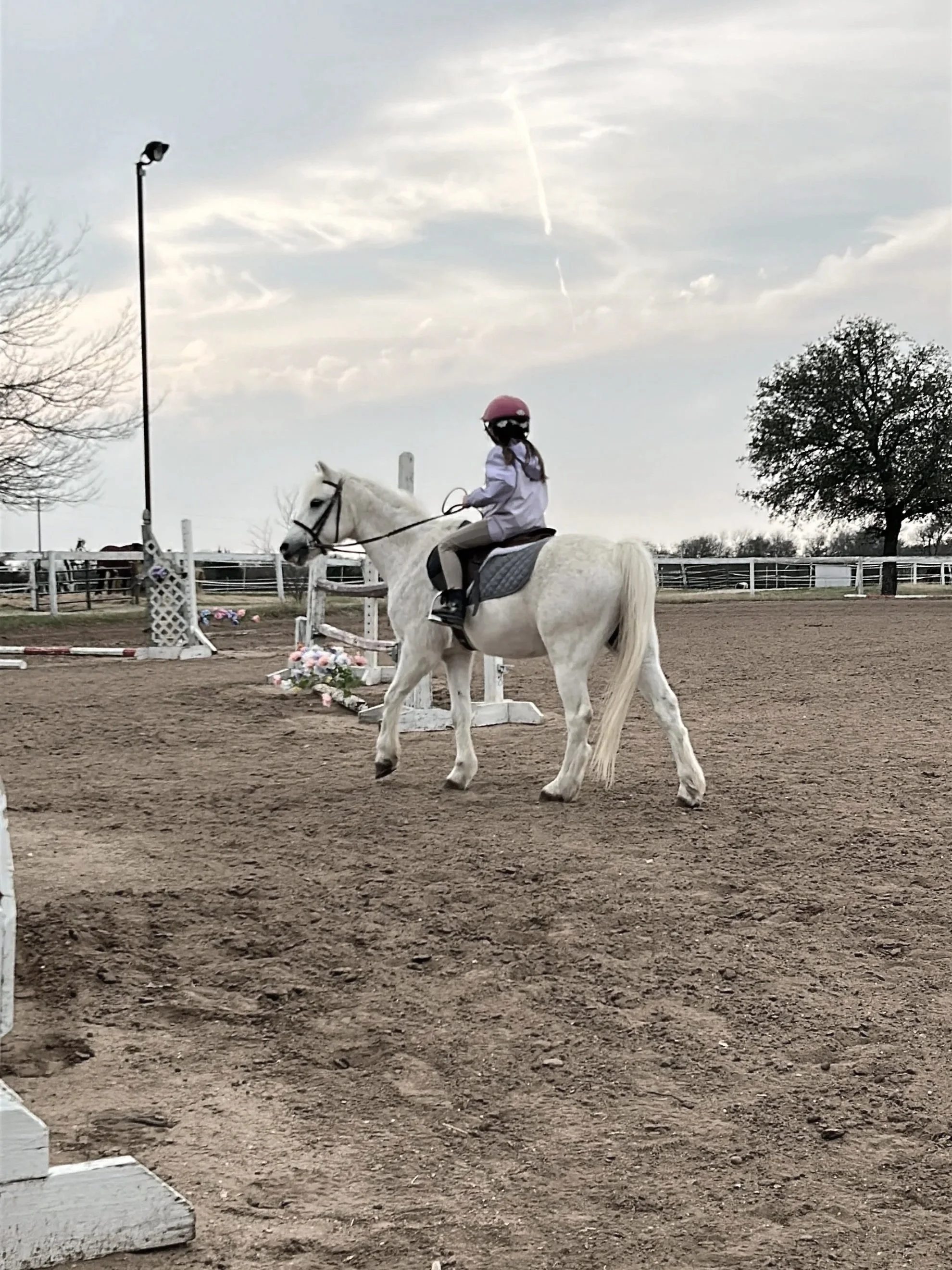 01: The Pony Wrangler