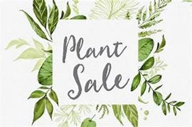 Summerlea Annual Plant Sale