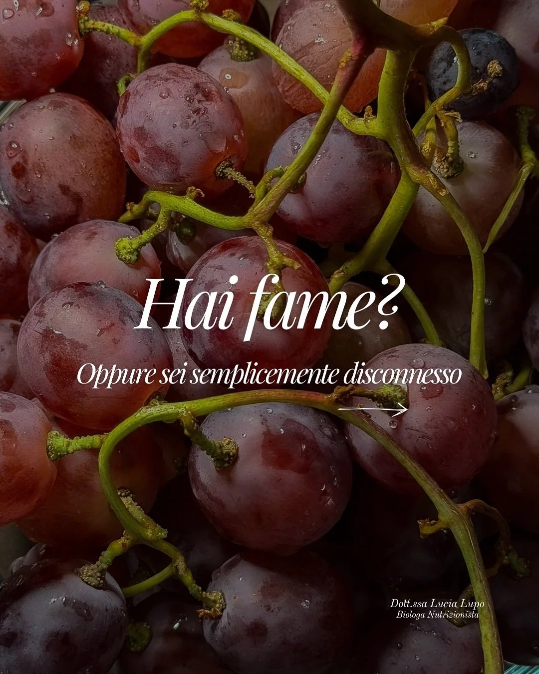 A volte non si tratta di un bisogno fisico, ma di un bisogno emotivo o regolatorio: il corpo cerca equilibrio. 🧘🏼&zwj;♀️✨🧠
.
Ascoltarsi significa anche imparare a distinguere la fame da tutto il resto 🤍
.
#nutrizionista #dieta #stress #interocezi