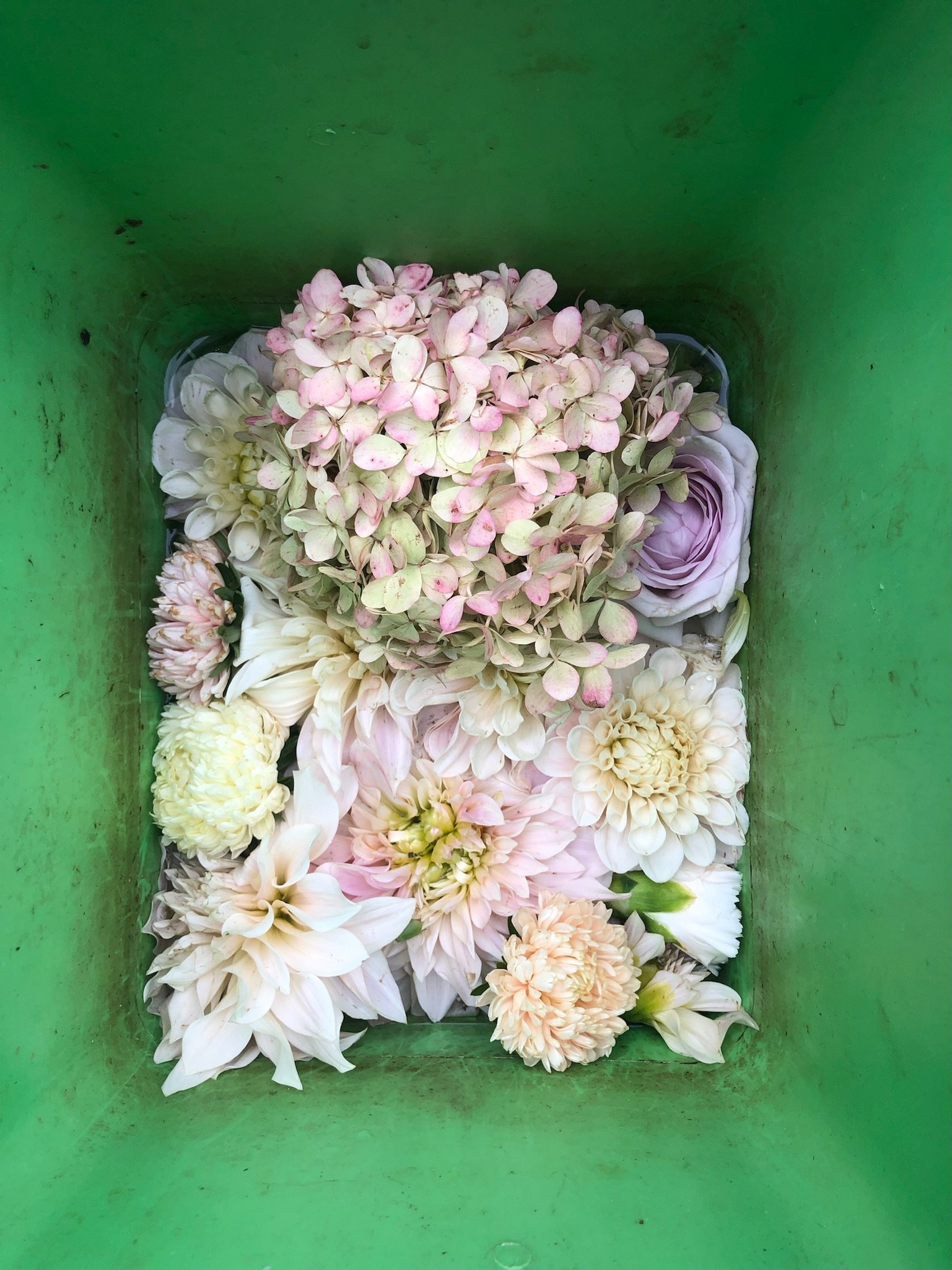 Verschiedene Blumen in einem grünen Behälter, darunter Hydrangea, Rosen und Dahlien in Pastellfarben.