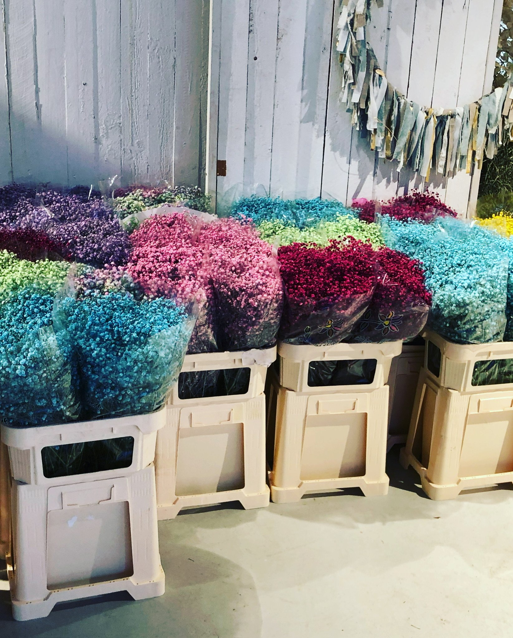 Bunte Blumensträuße, wahrscheinlich Gypsophila, in transparenten Tüten, auf Holzkisten gegen eine weiße Wand gelehnt.