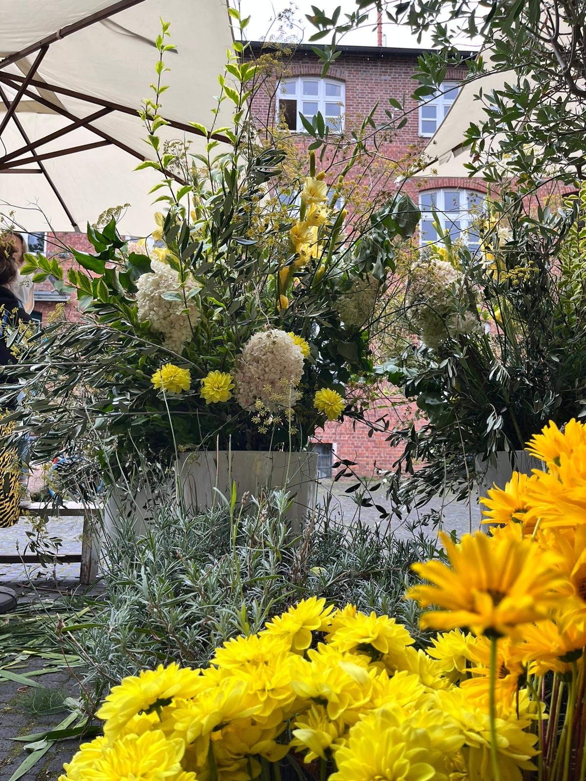 Bunte Frühlingsblumen in einem großen weißen Topf auf einer Terrasse, umgeben von gelben, weißen und grünen Pflanzen, mit einem roten Backsteinhaus im Hintergrund.