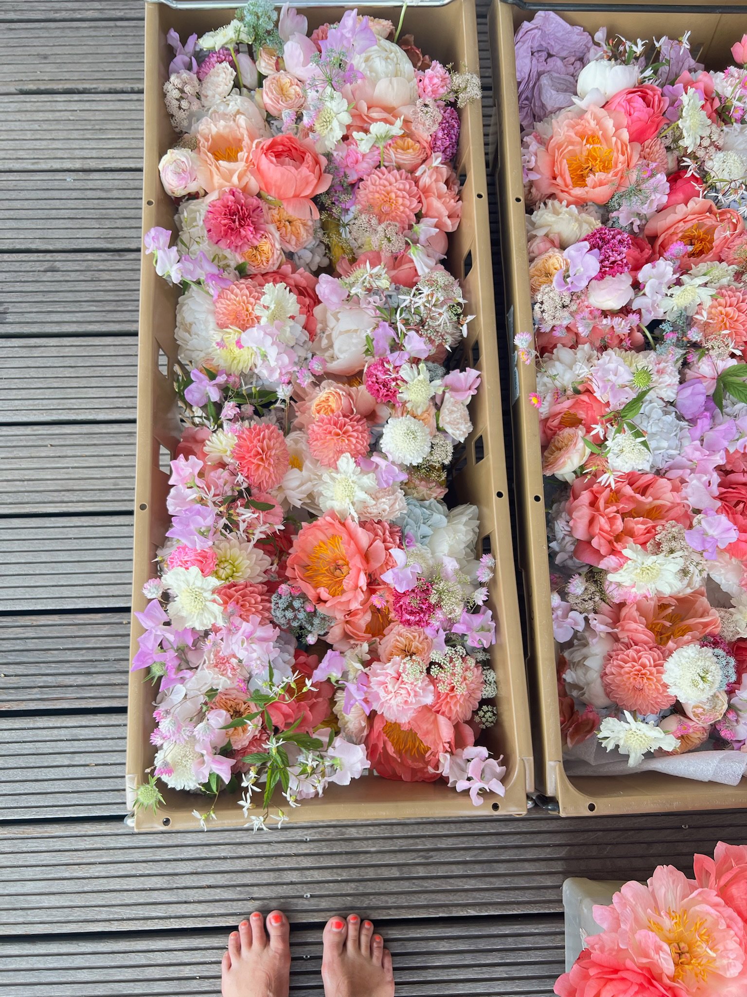 Bunte Frühlingsblumen in Kisten auf einem Holzdeck, mit Zehen im Vordergrund.