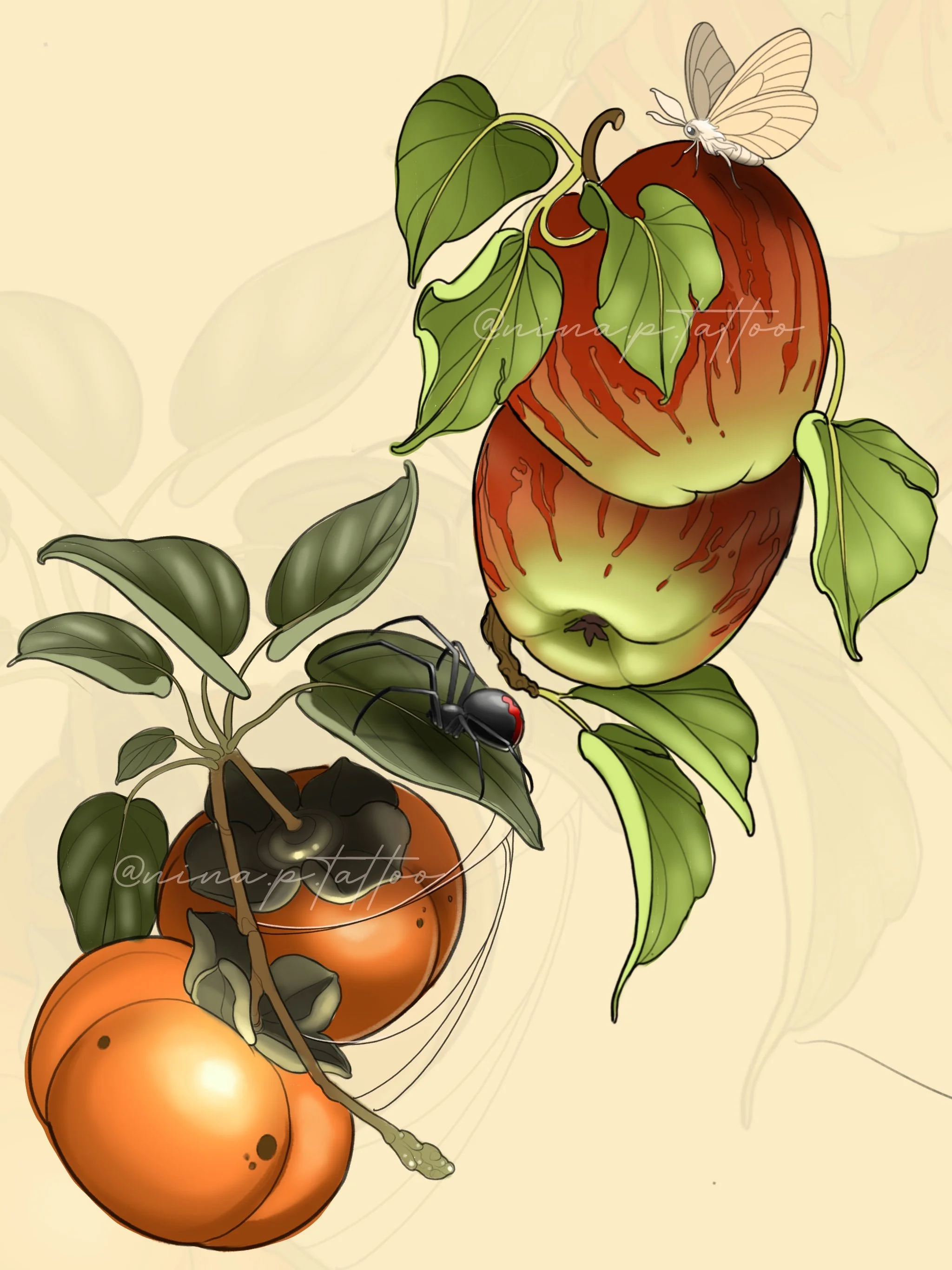 Digital illustrations of cabbage moths with apples and persimmons with a spider. 