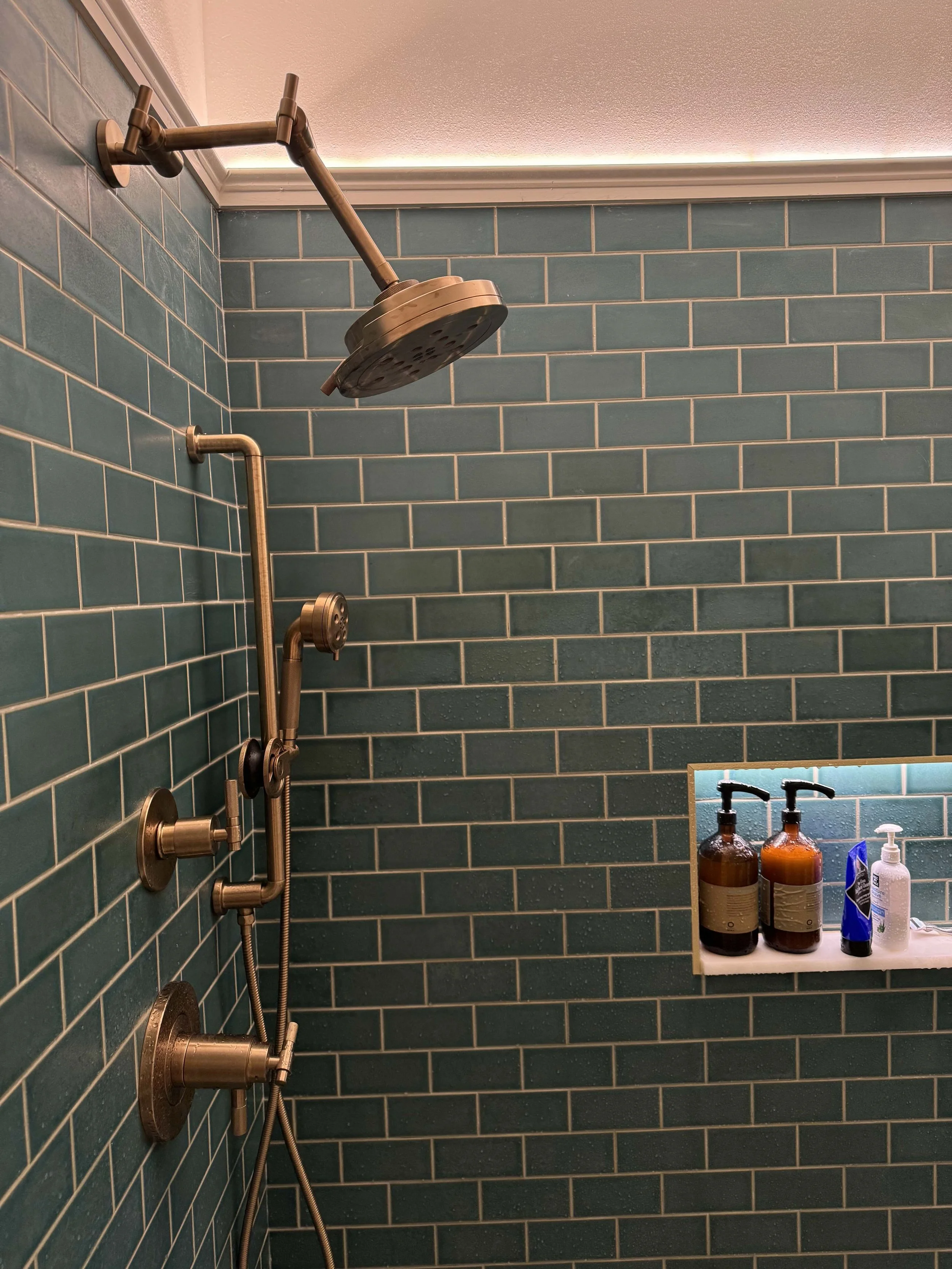 acadia shower - brizio.jpg