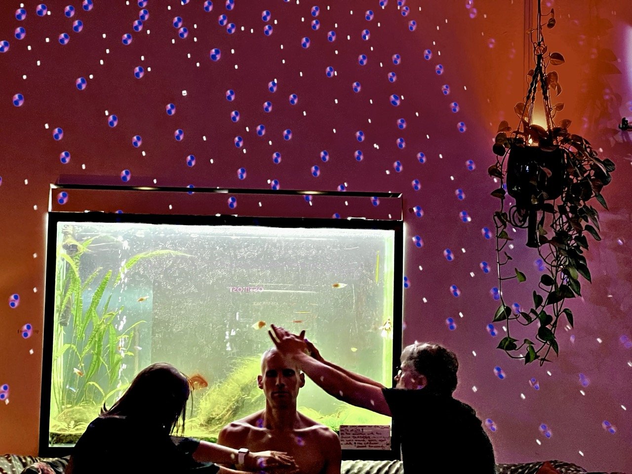 Elysian 122 Large.jpeg