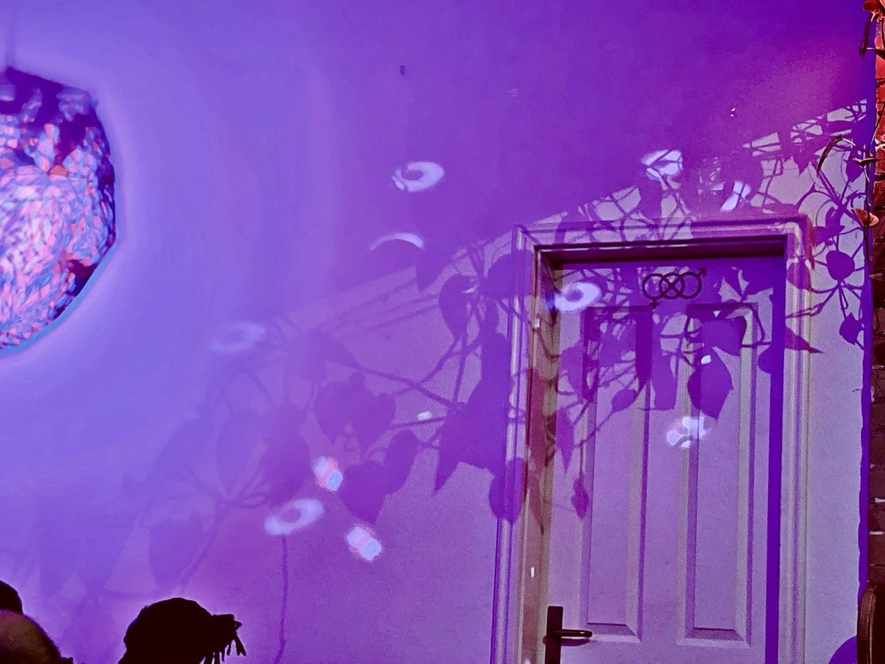 Elysian 227 Large.jpeg