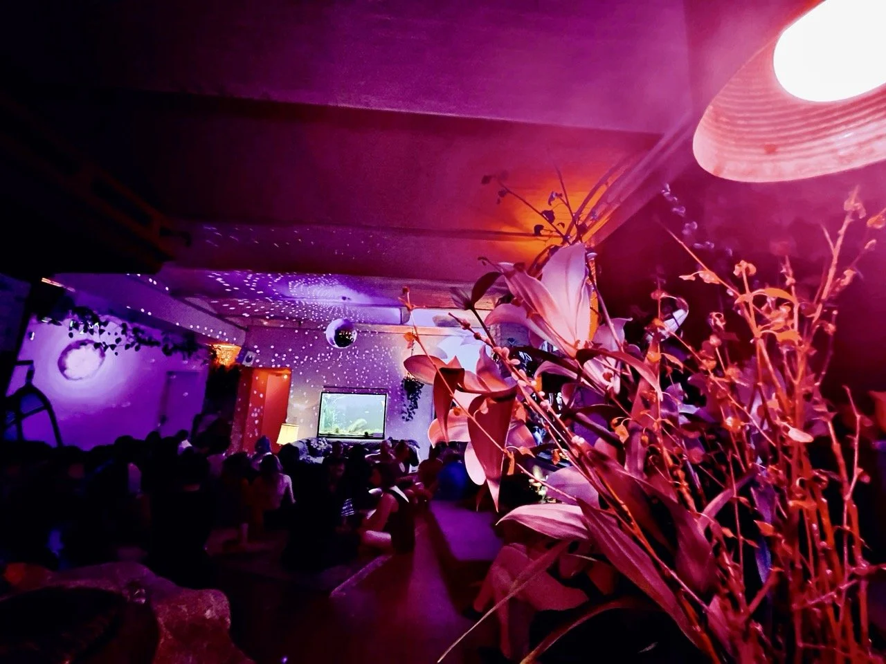 Elysian 97 Large.jpeg