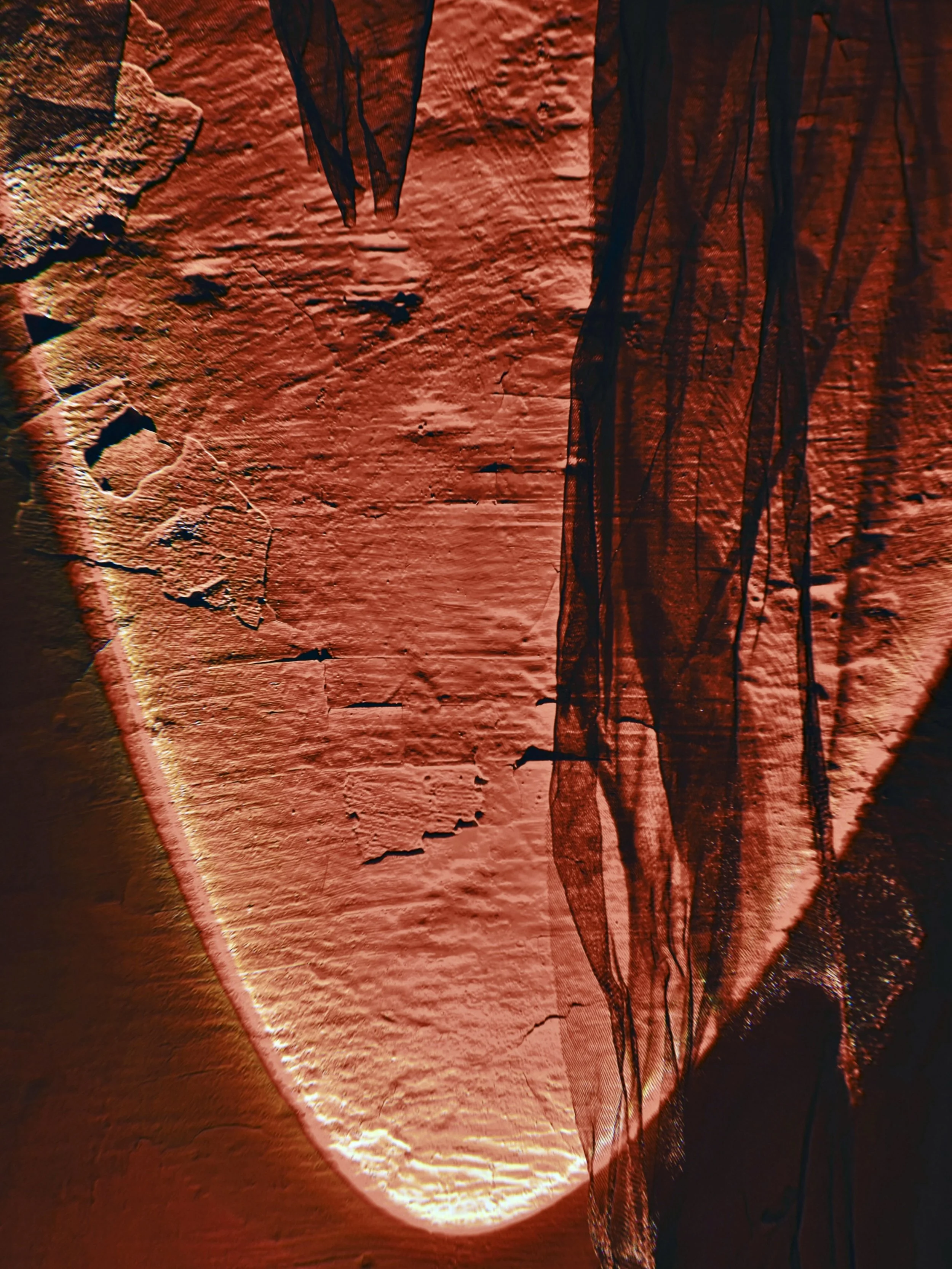 41  Deep Embodiment.jpg