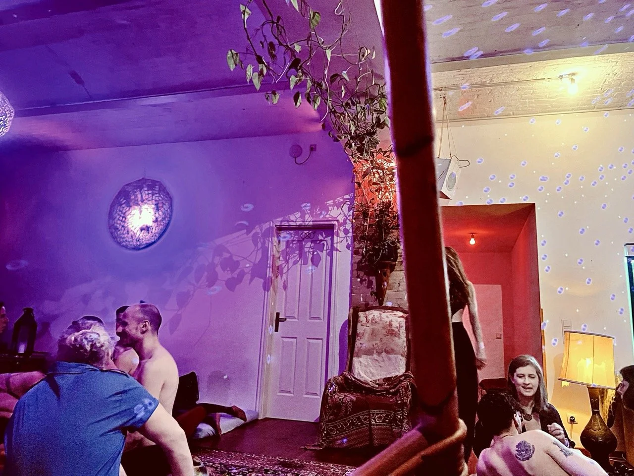 Elysian 228 Large.jpeg