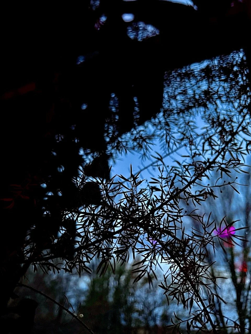 Elysian 140 Large.jpeg