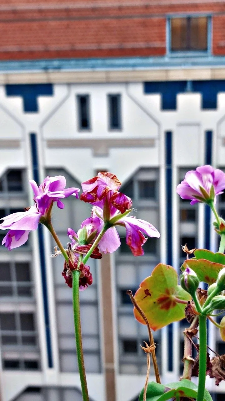 Playhouse Dream Nov22_0149 Large.jpeg