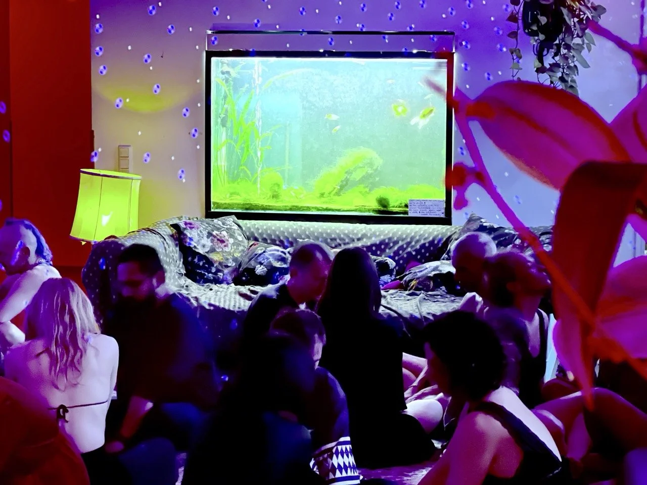 Elysian 90 Large.jpeg